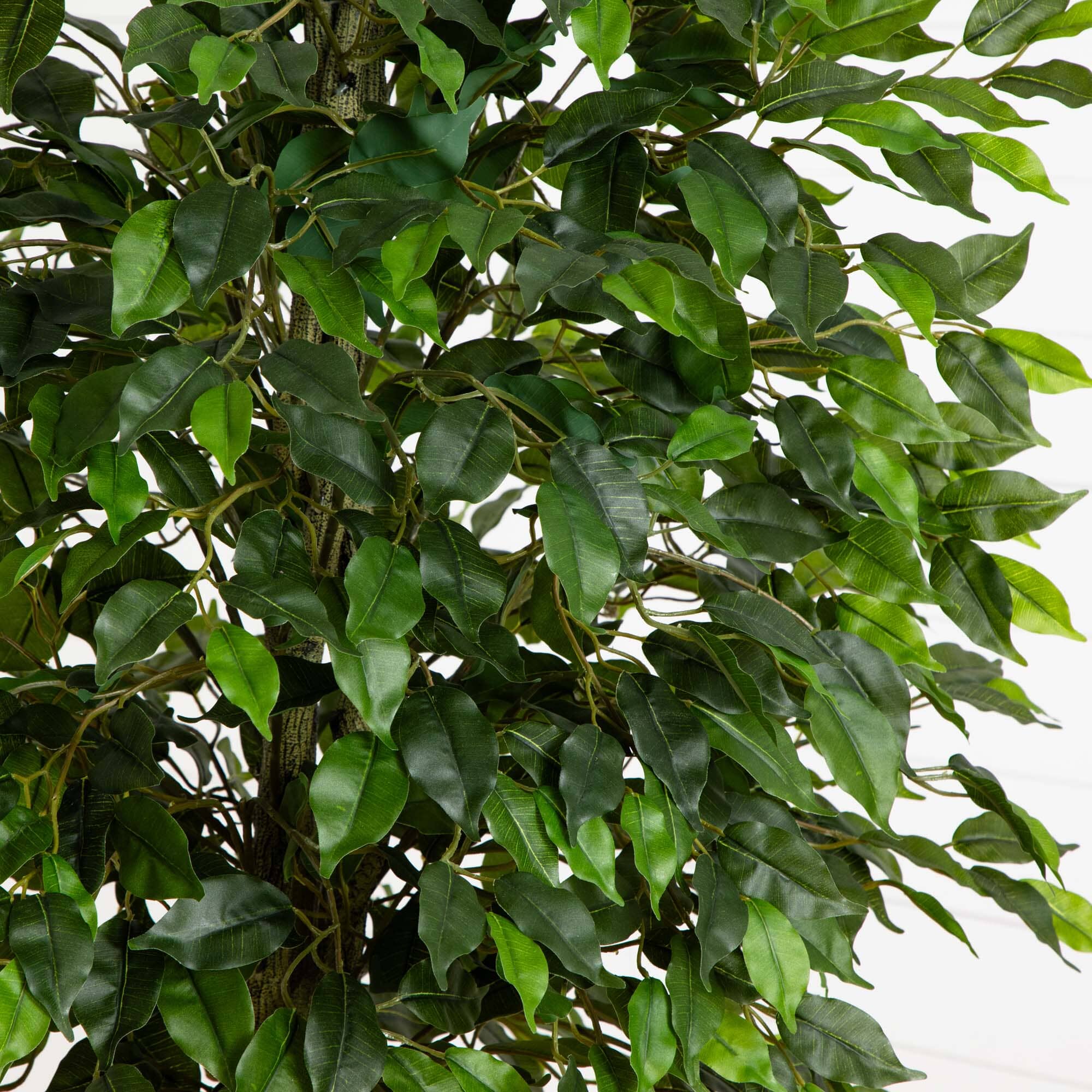 5.5' Ficus Tree UV Resistant (Indoor/Outdoor) - Image 2