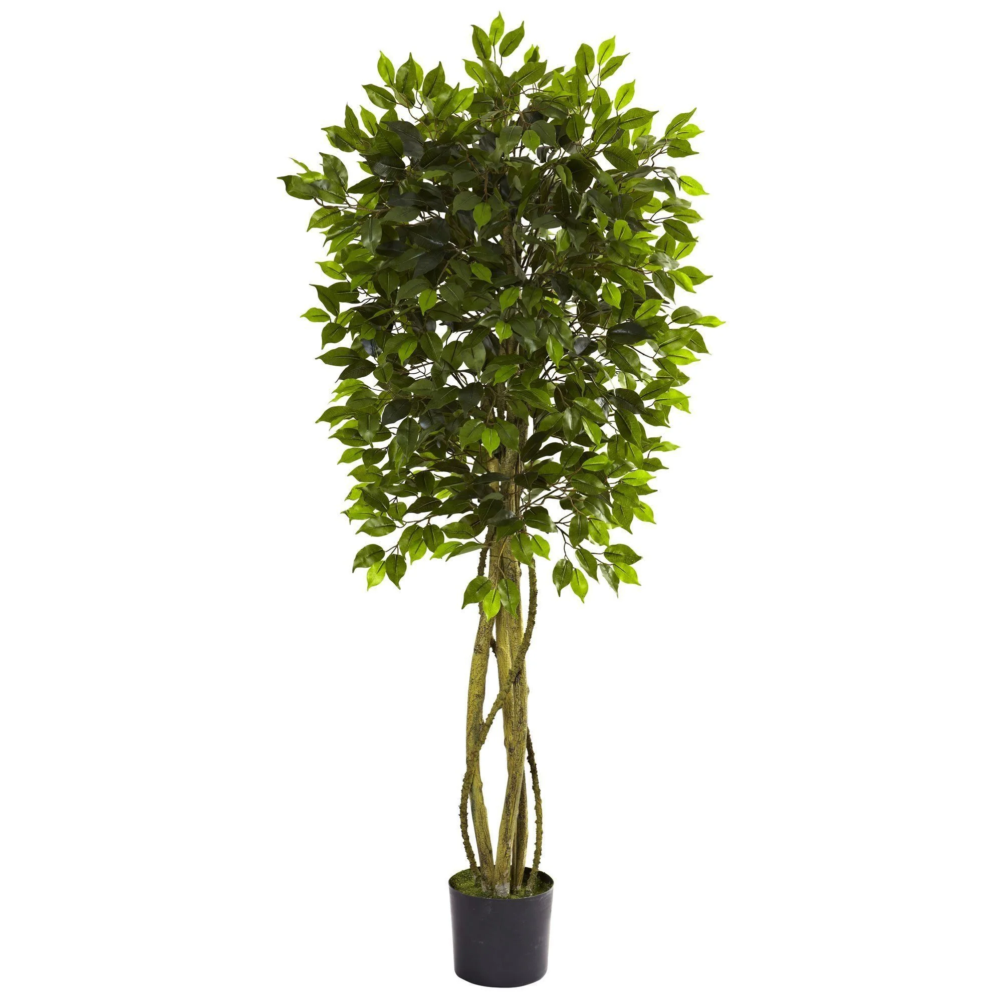 5.5' Ficus Tree UV Resistant (Indoor/Outdoor) - Image 3