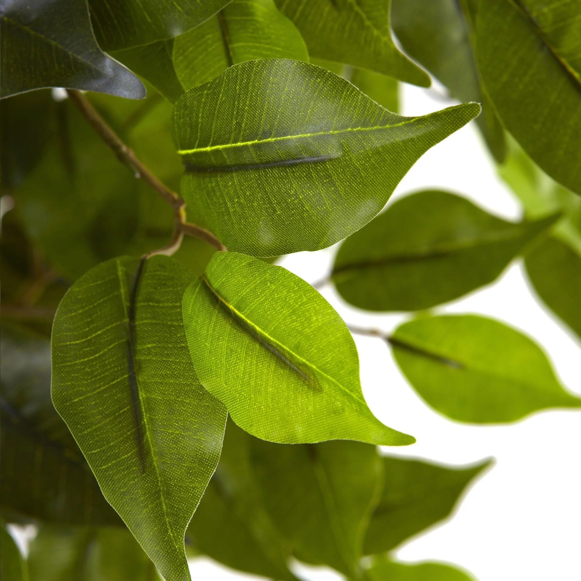 5.5' Ficus Tree UV Resistant (Indoor/Outdoor) - Image 4
