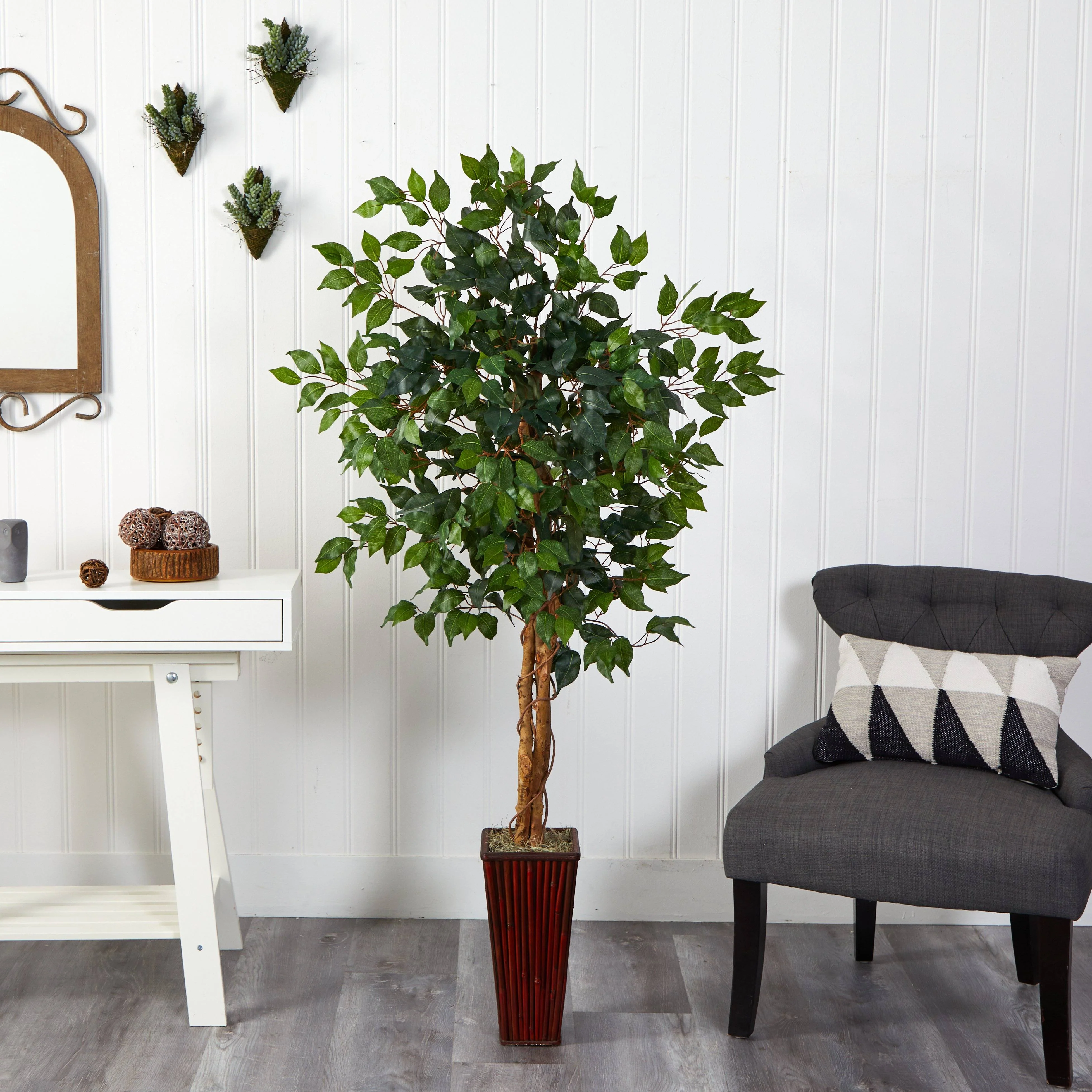 5.5’ Ficus Tree w/Bamboo Planter - Image 5