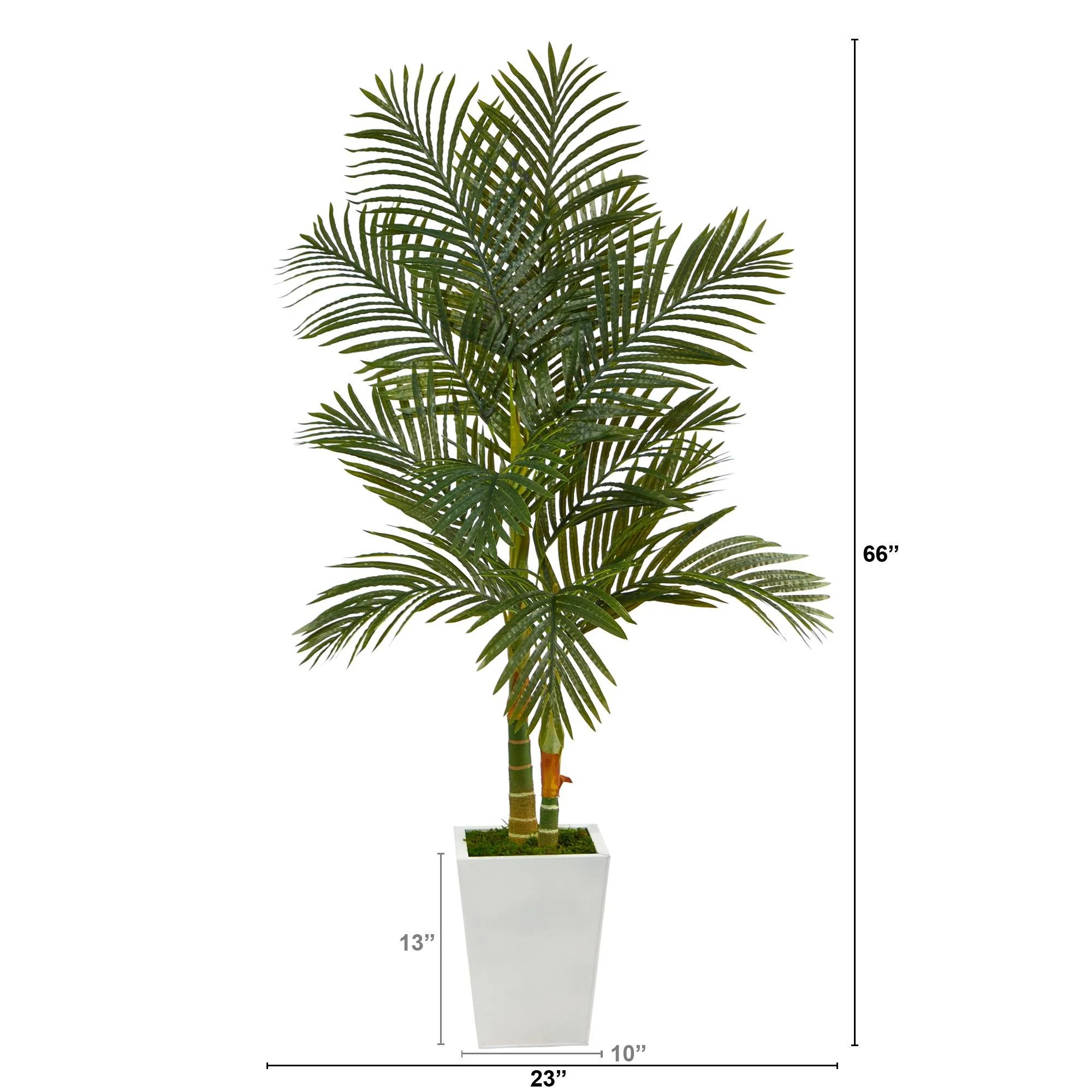 5.5’ Golden Cane Artificial Palm Tree in White Metal Planter - Image 2