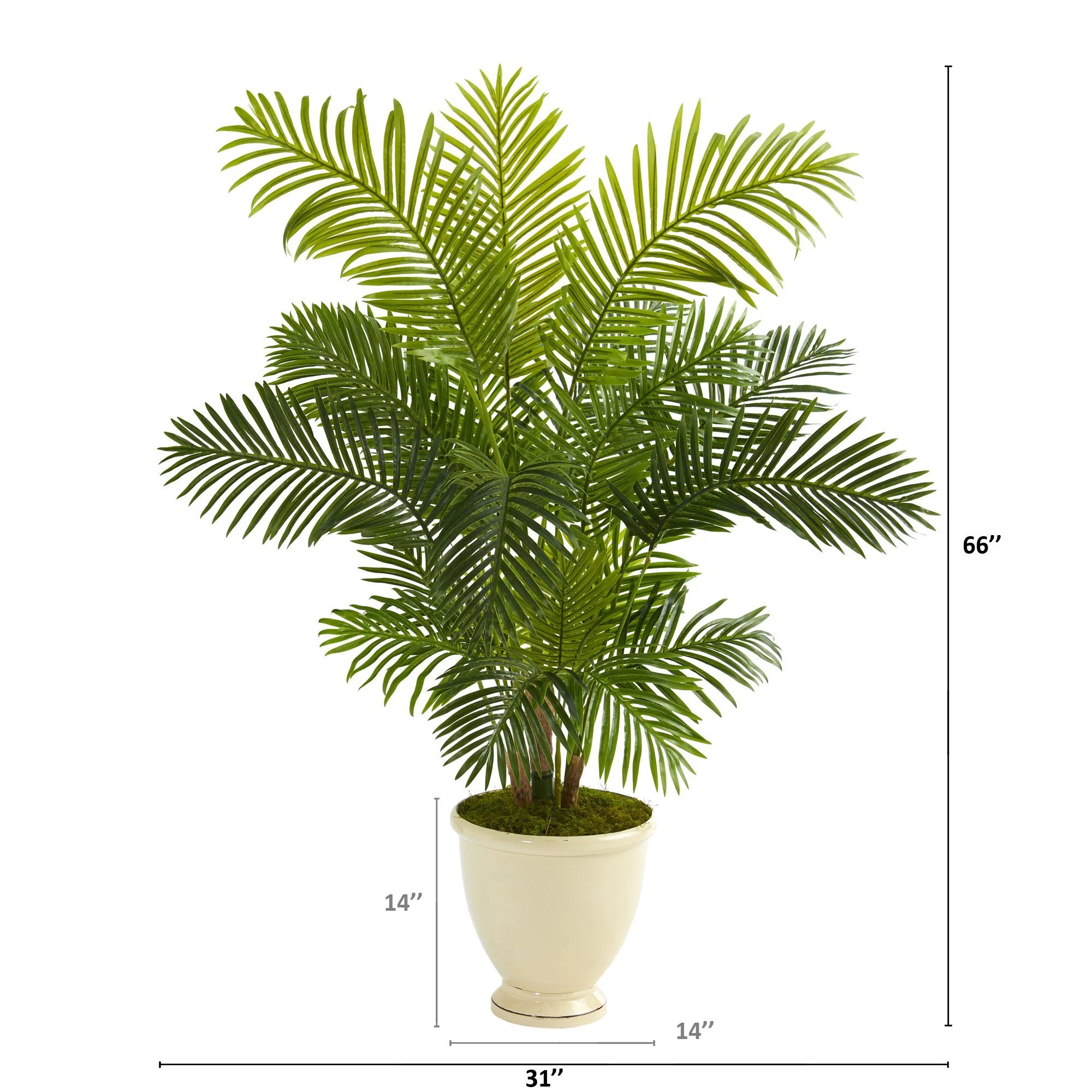 5.5’ Hawaii Palm Artificial Tree in Decorative Urn - Image 2