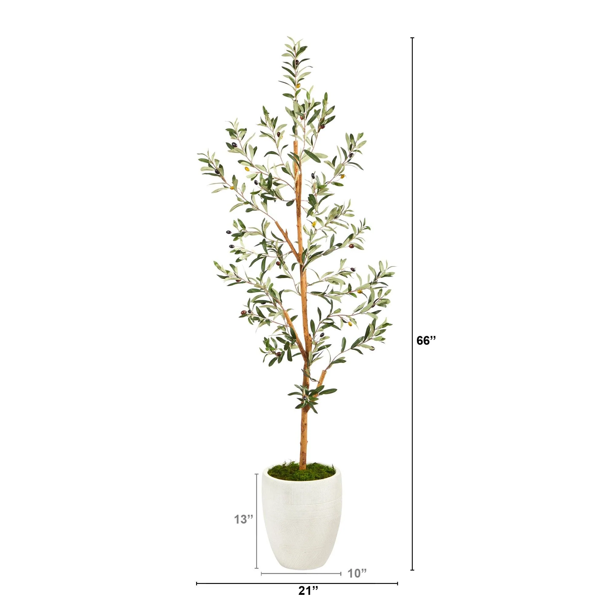 5.5’ Olive Artificial Tree in White Planter - Image 2
