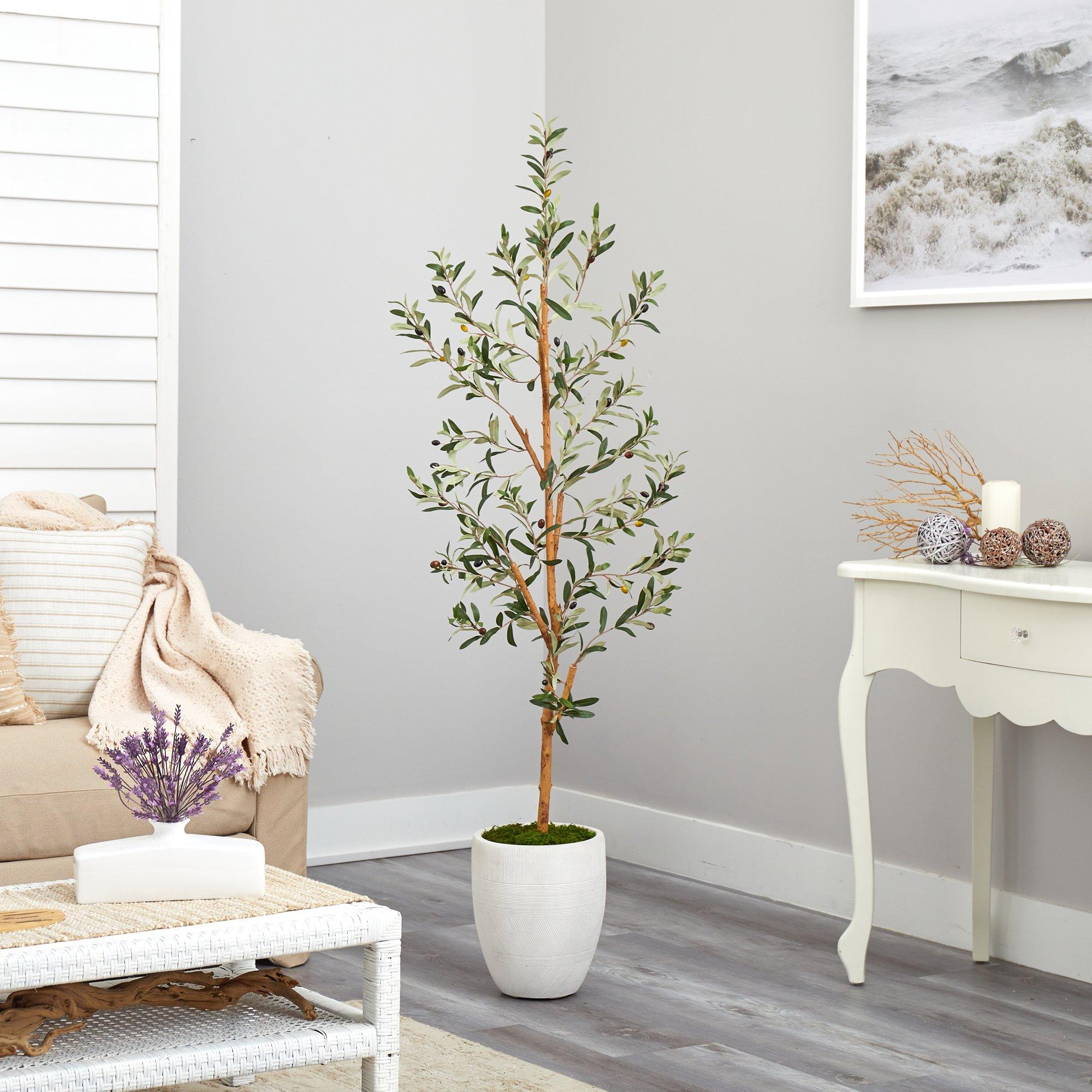 5.5’ Olive Artificial Tree in White Planter - Image 4