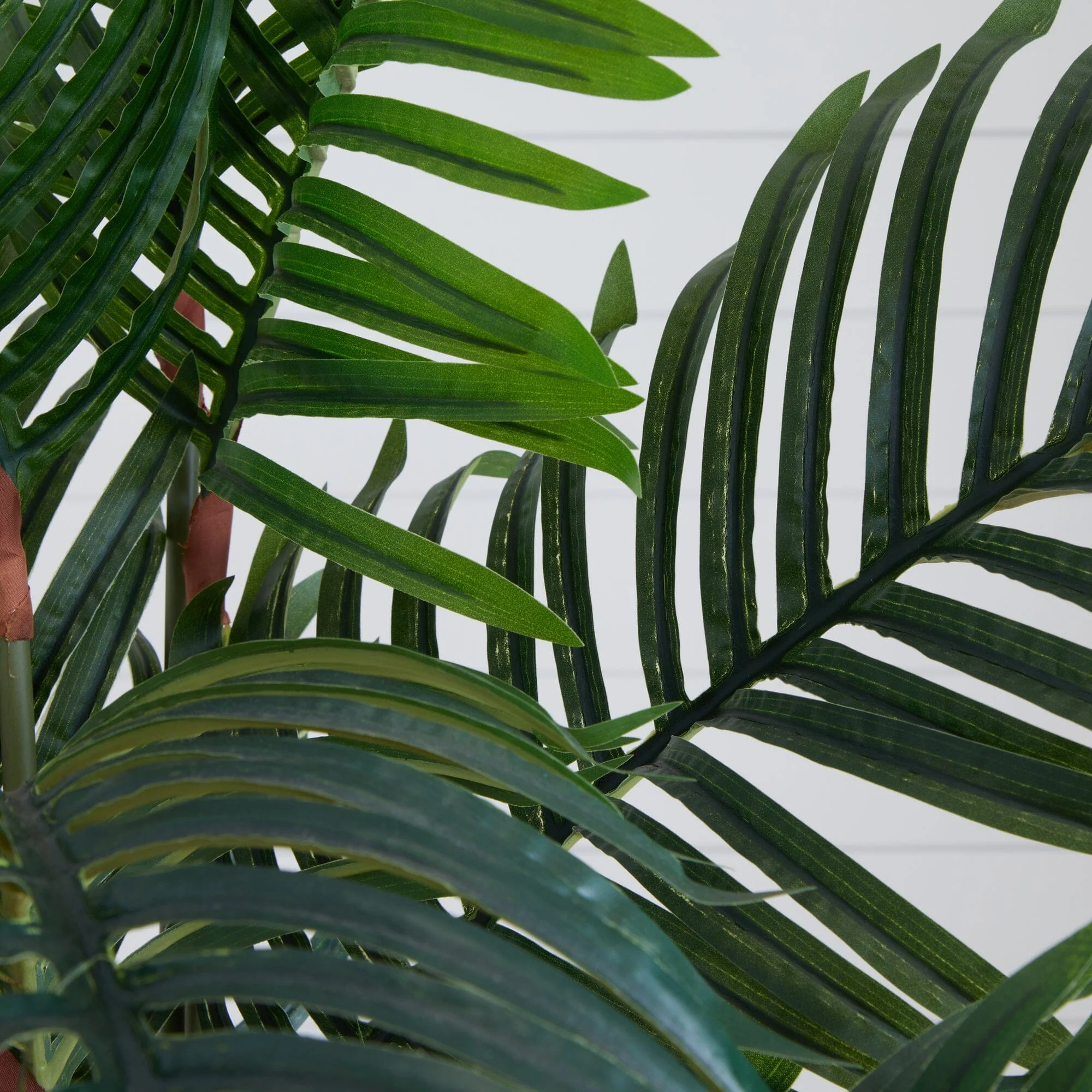 5.5’ Paradise Palm Artificial Tree in Square Planter - Image 2