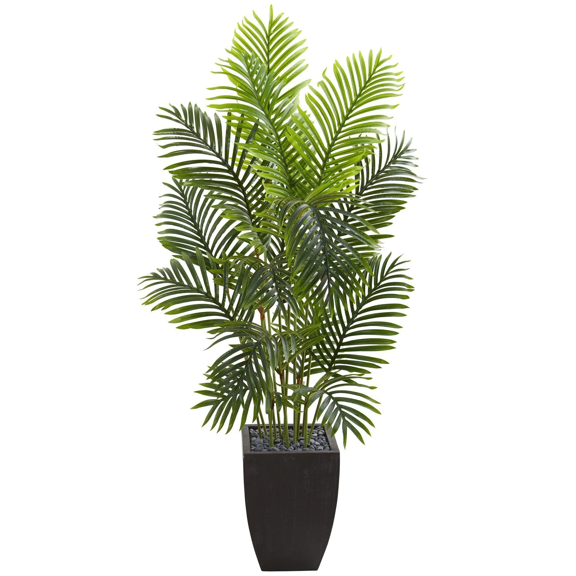 5.5’ Paradise Palm Artificial Tree in Square Planter - Image 3