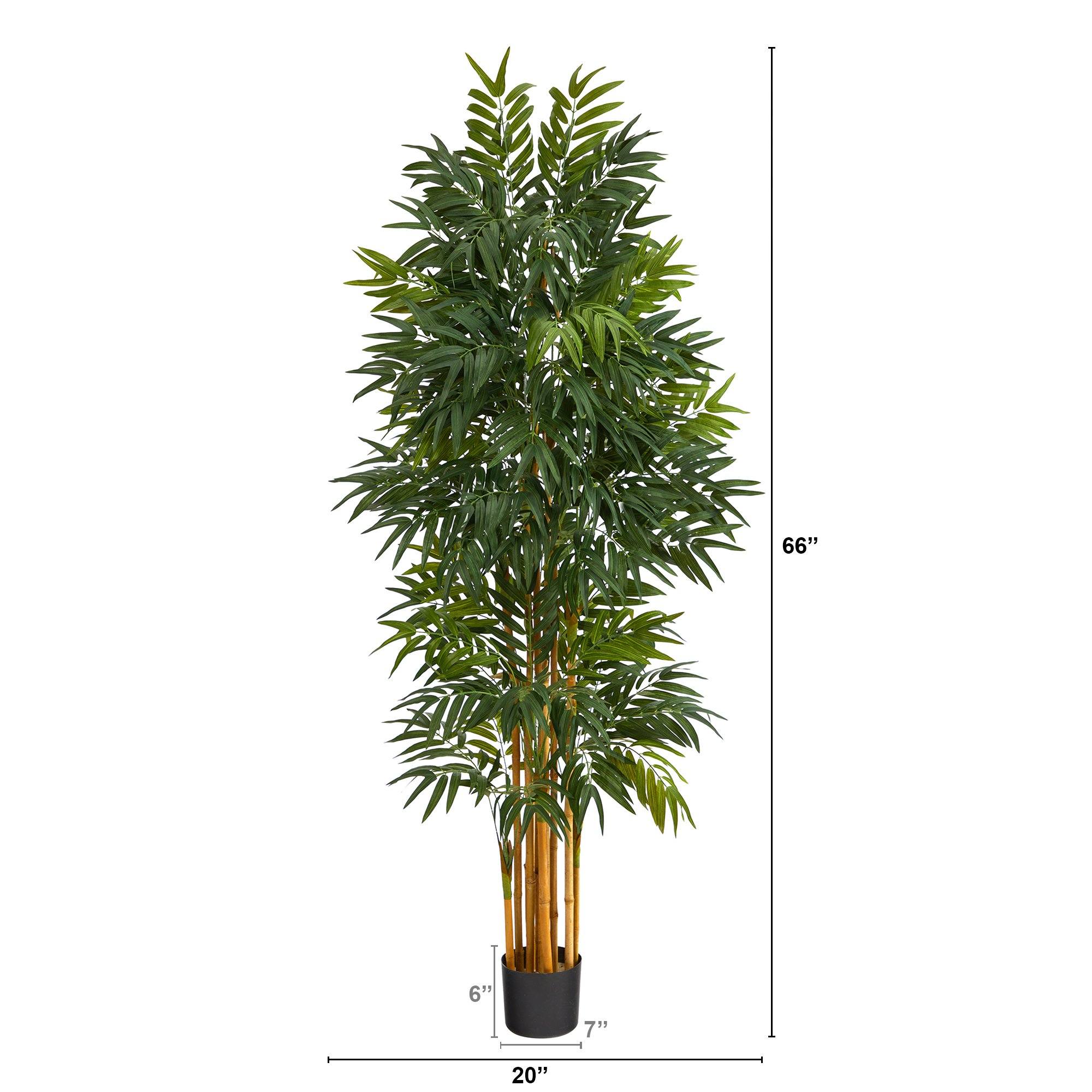 5.5’ Phoenix Artificial Palm tree with Natural Trunk - Image 2
