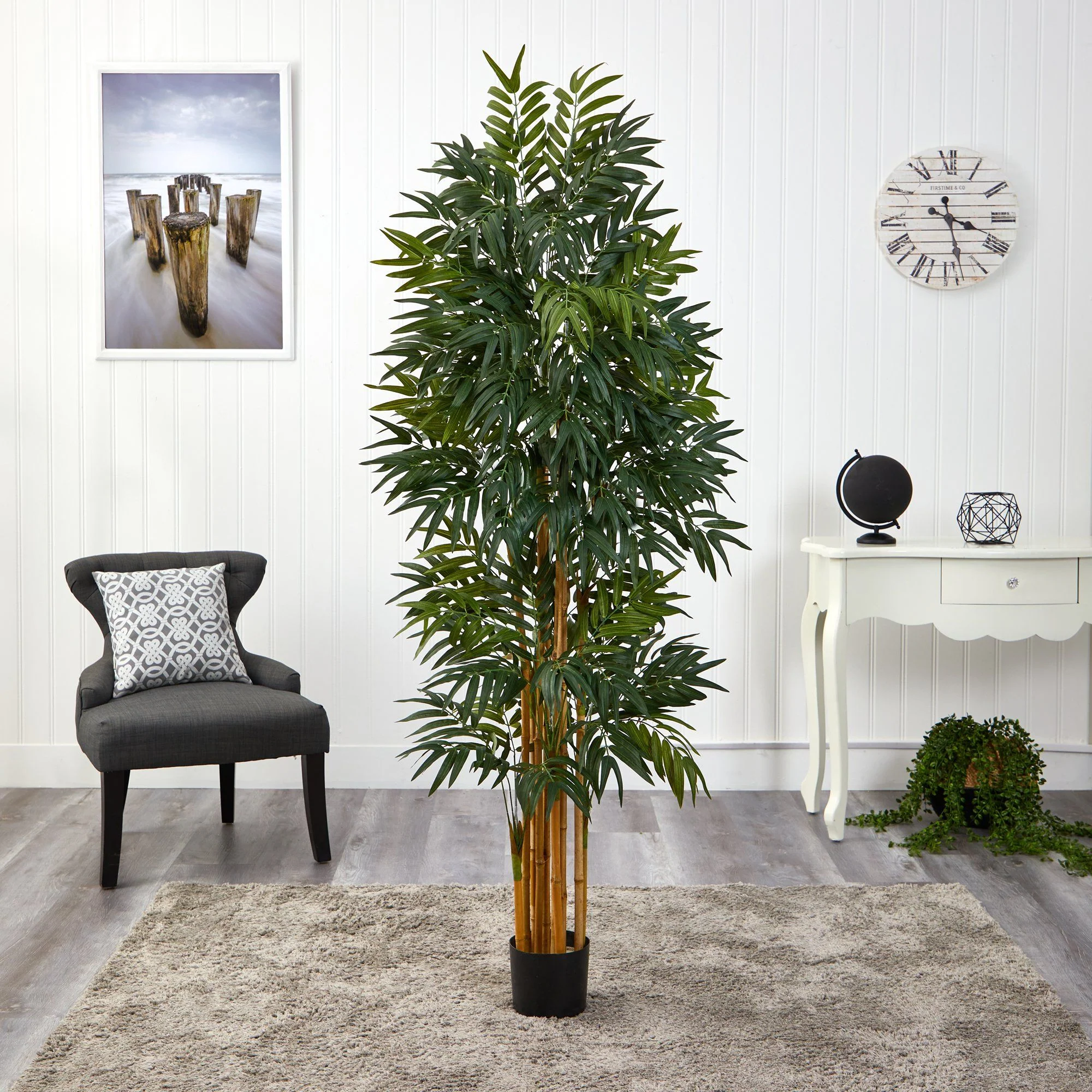 5.5’ Phoenix Artificial Palm tree with Natural Trunk - Image 3