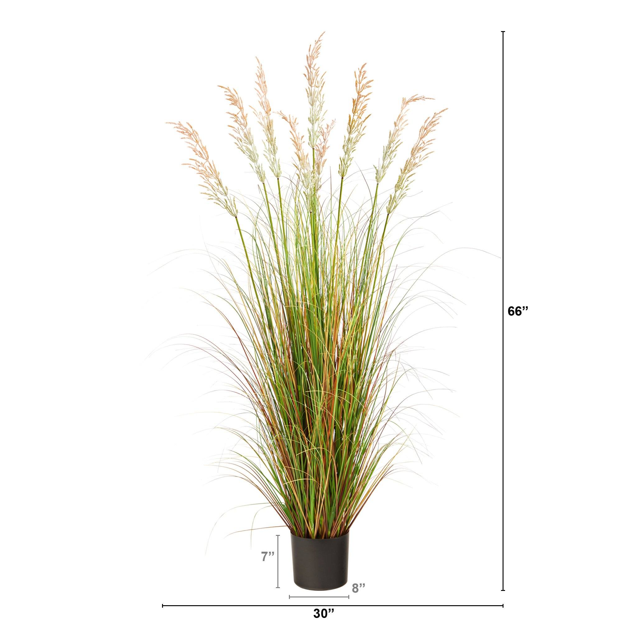 5.5’ Plum Grass Artificial Plant with Multicolored Grass - Image 3