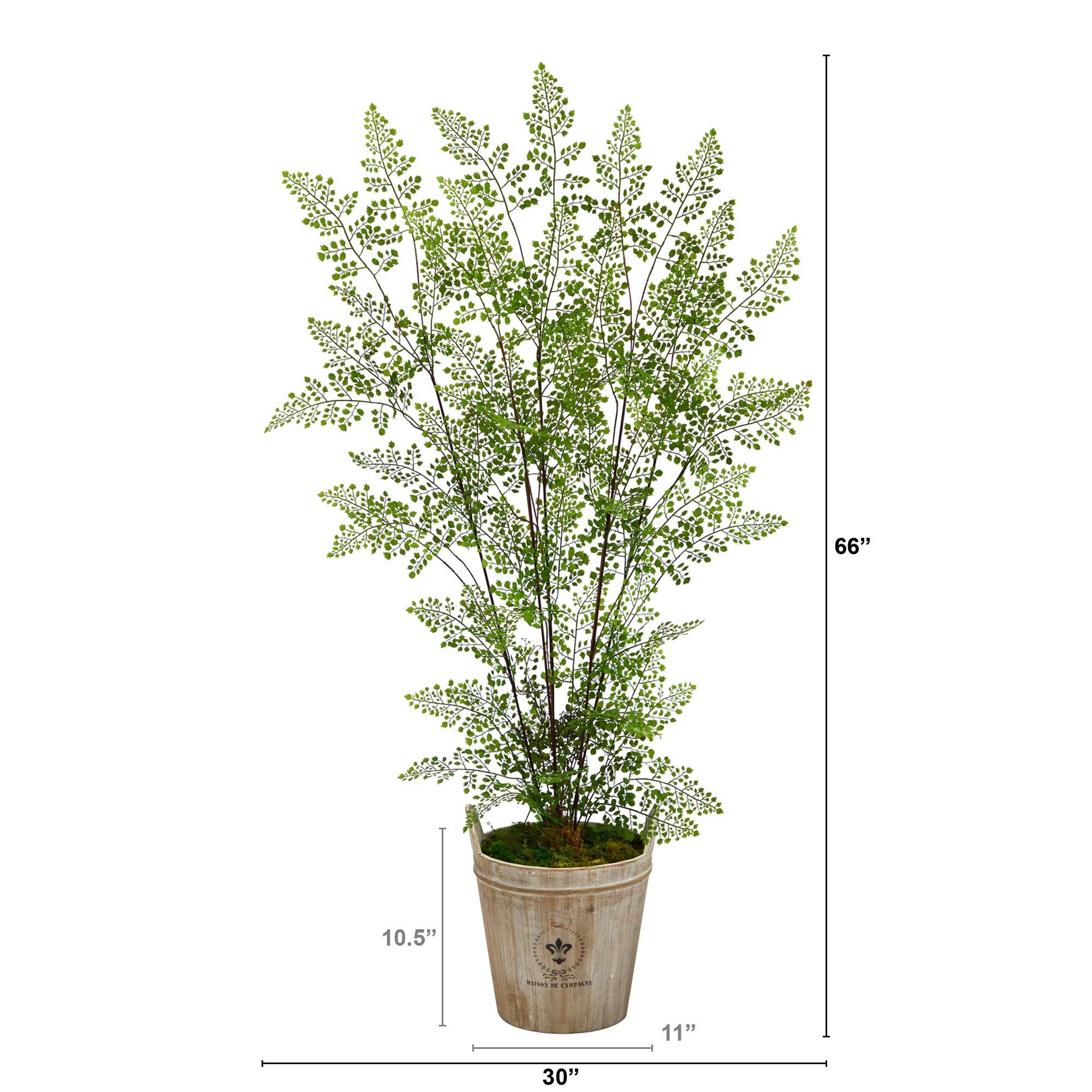 5.5’ Ruffle Fern Artificial Tree in Farmhouse Planter - Image 2