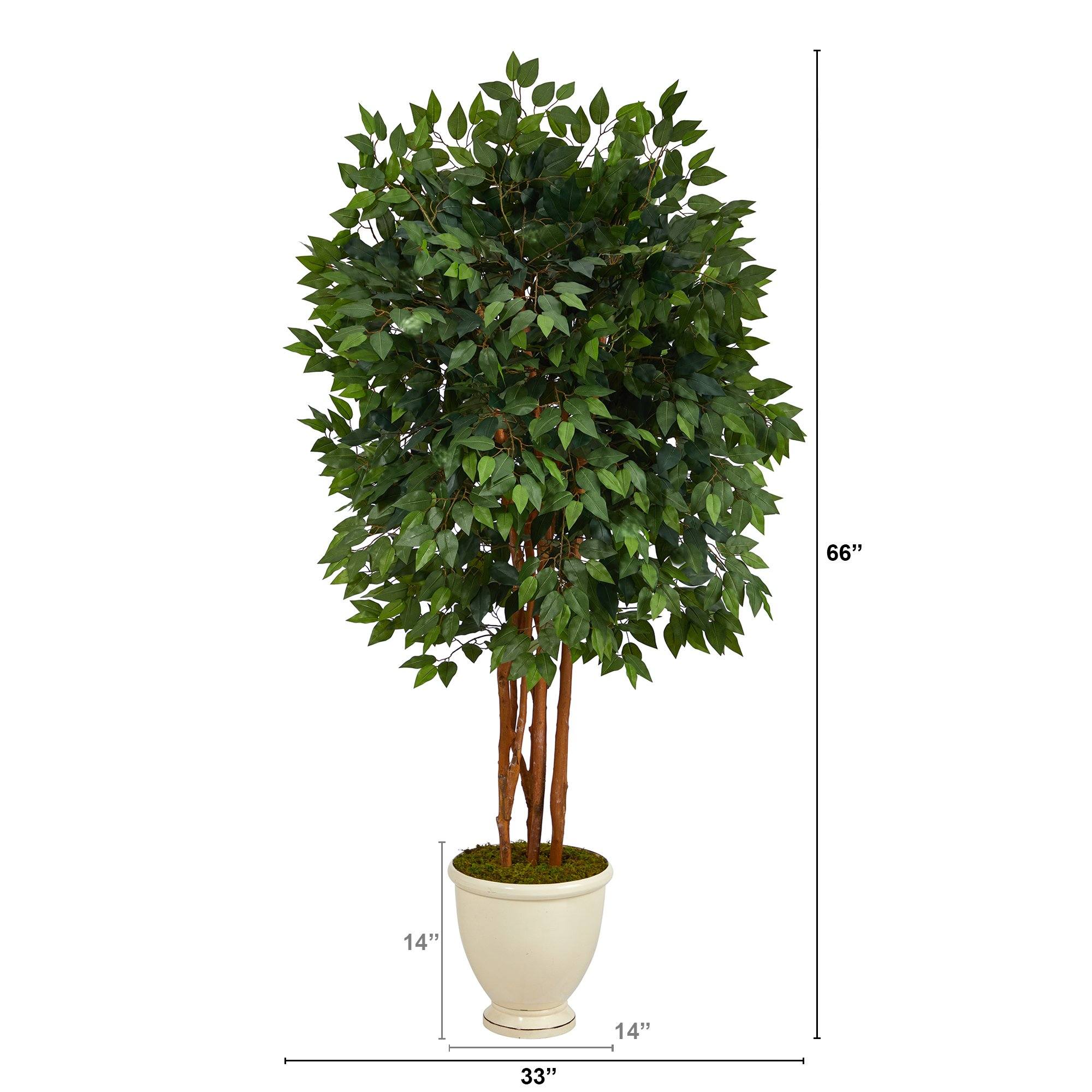 5.5’ Super Deluxe Ficus Artificial Tree in Decorative Urn - Image 2
