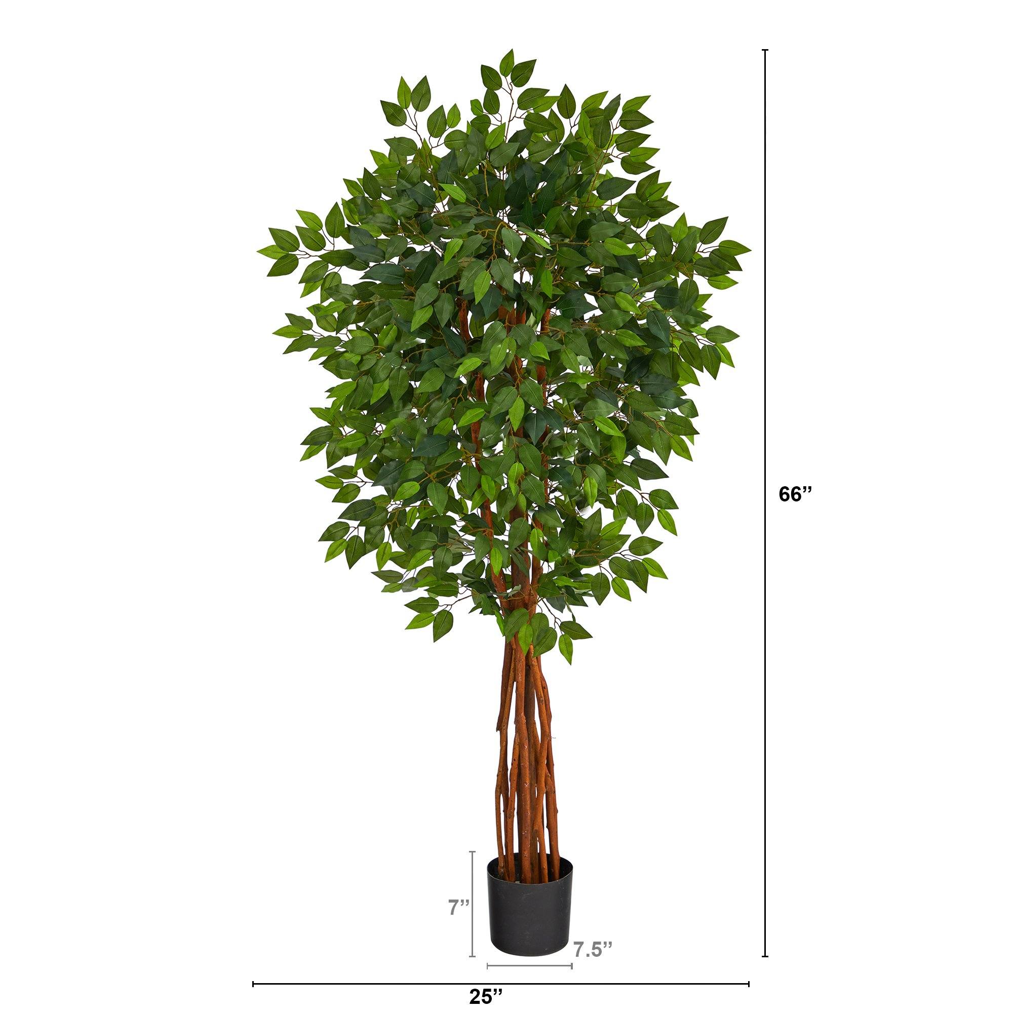 5.5’ Super Deluxe Natural Trunk Ficus Artificial Tree - Image 2