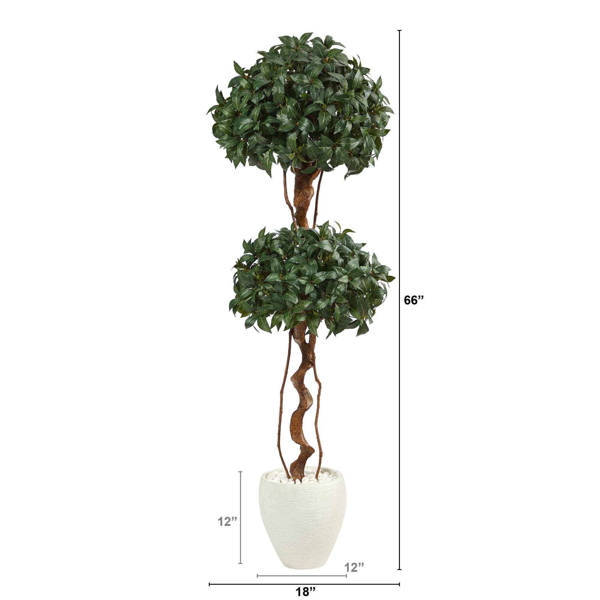 5.5’ Sweet Bay Double Ball Topiary Artificial Tree in White Planter - Image 2