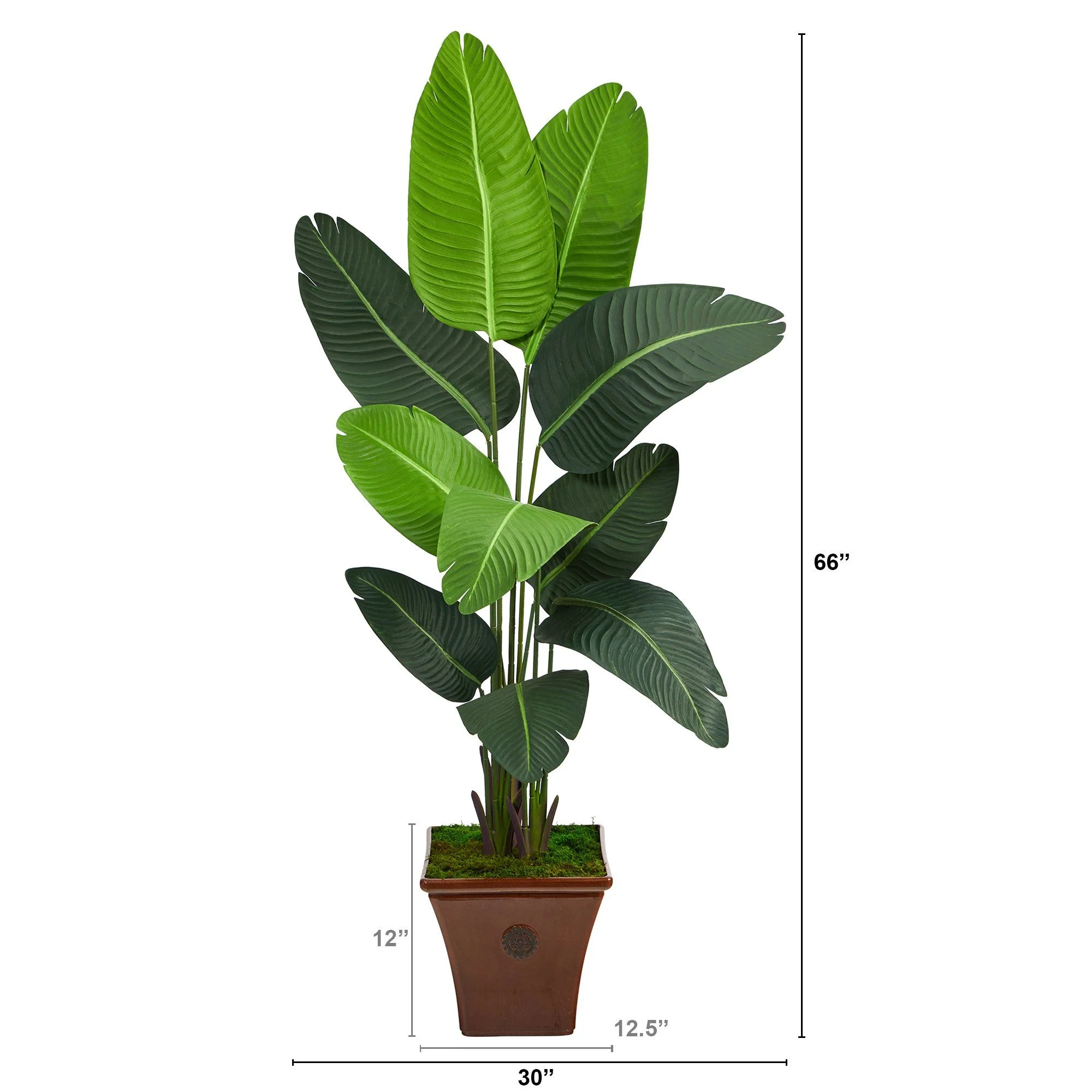 5.5’ Travelers Palm Artificial Tree in Brown Planter - Image 2