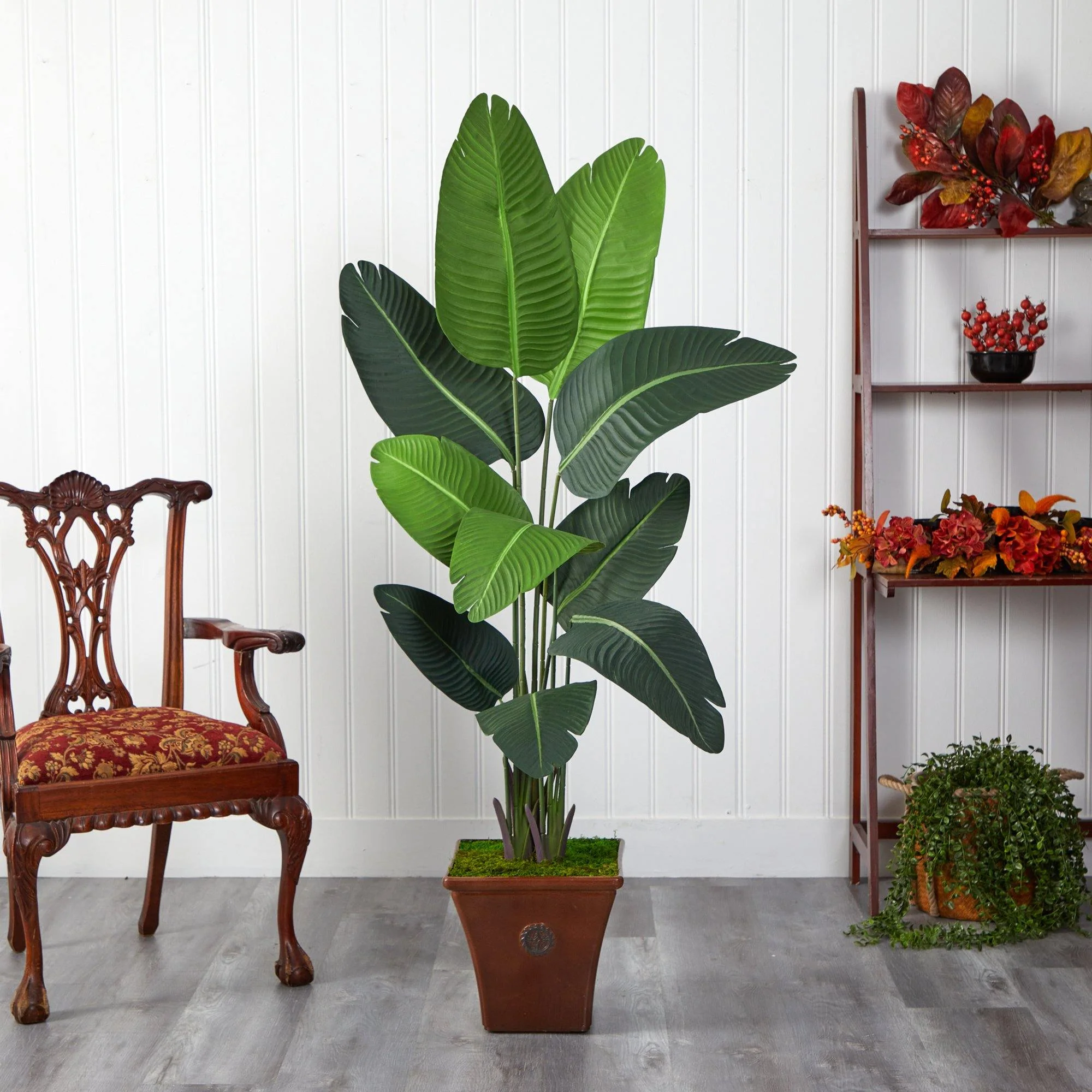 5.5’ Travelers Palm Artificial Tree in Brown Planter - Image 3