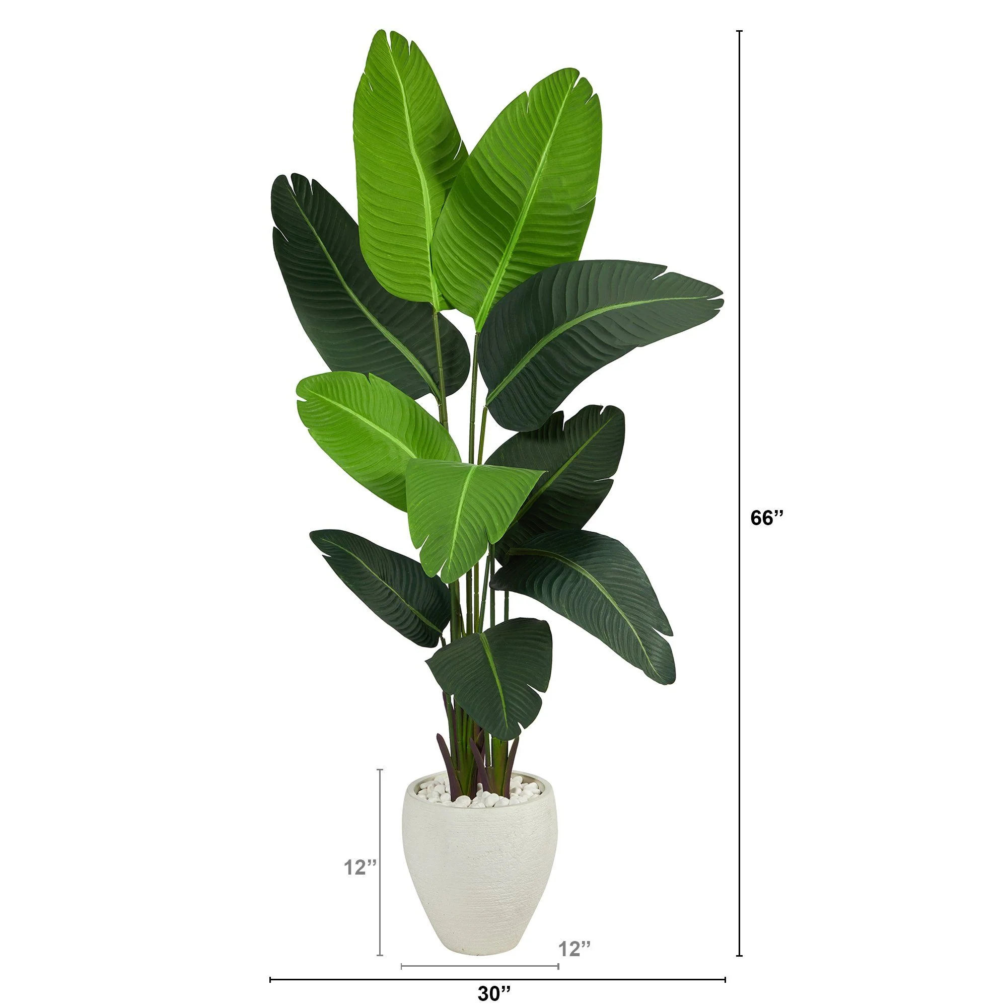 5.5’ Travelers Palm Artificial Tree in White Planter - Image 2