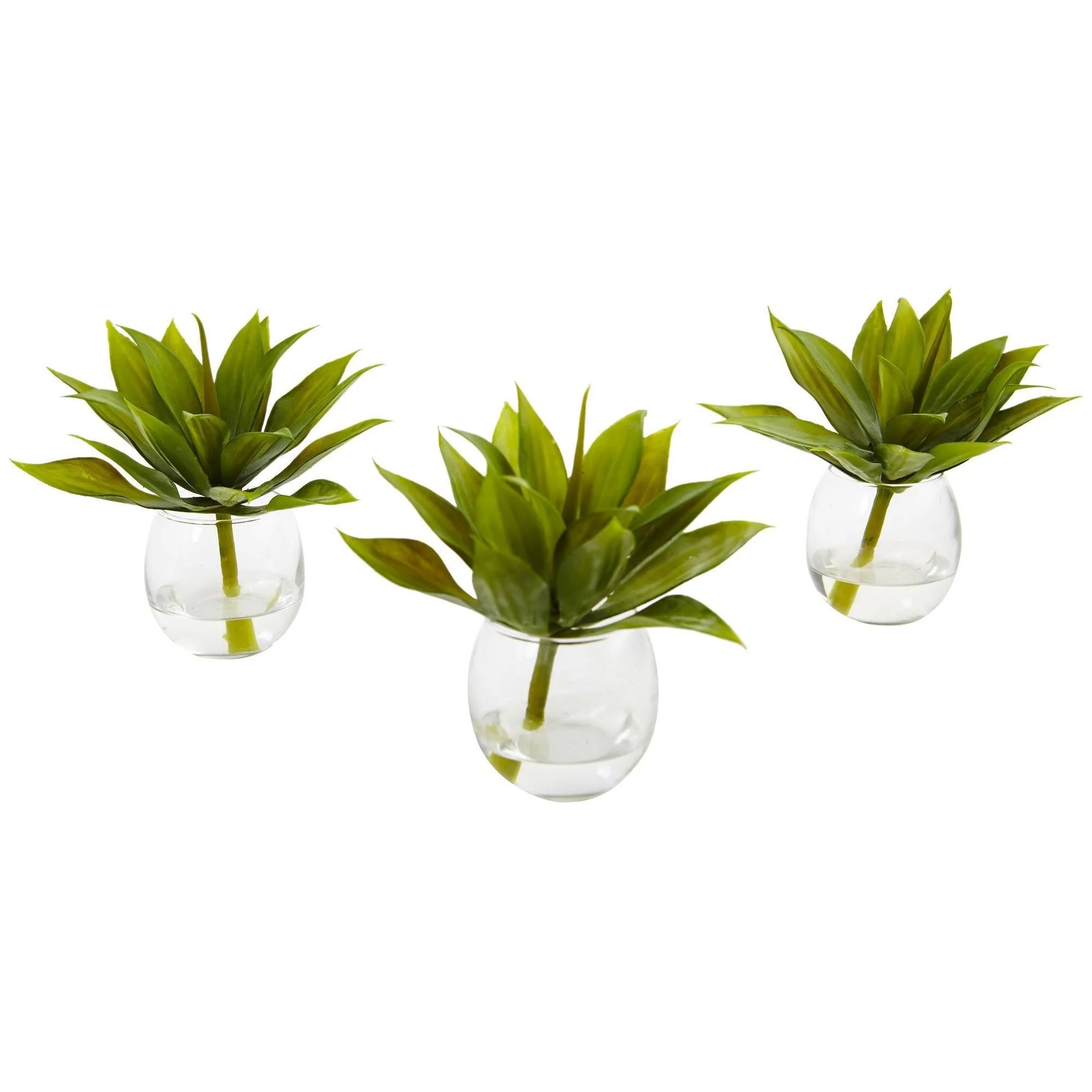Agave Succulent with Vase (Set of 3) - Image 4