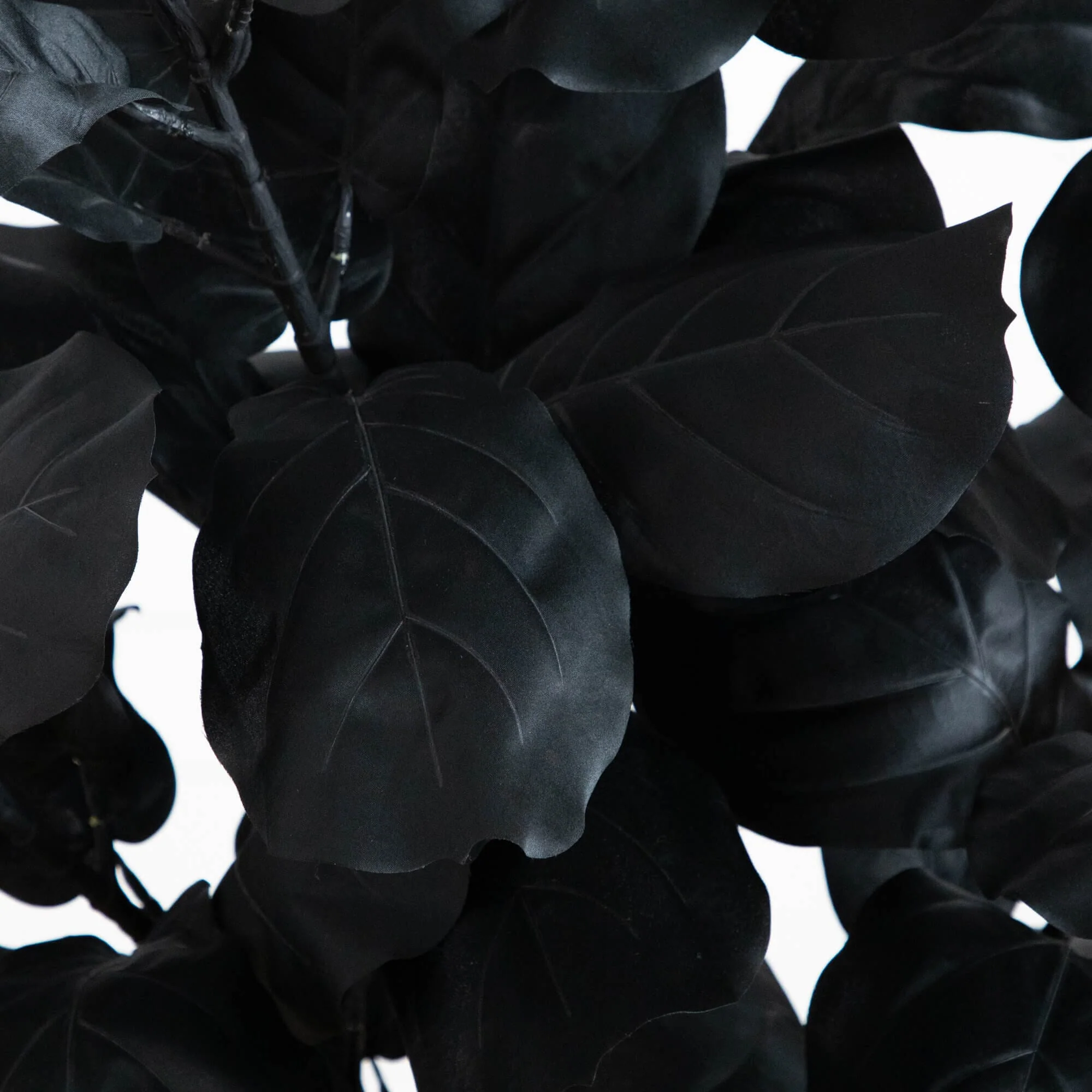 5' Artificial Halloween Black Fiddle Leaf Tree - Image 2