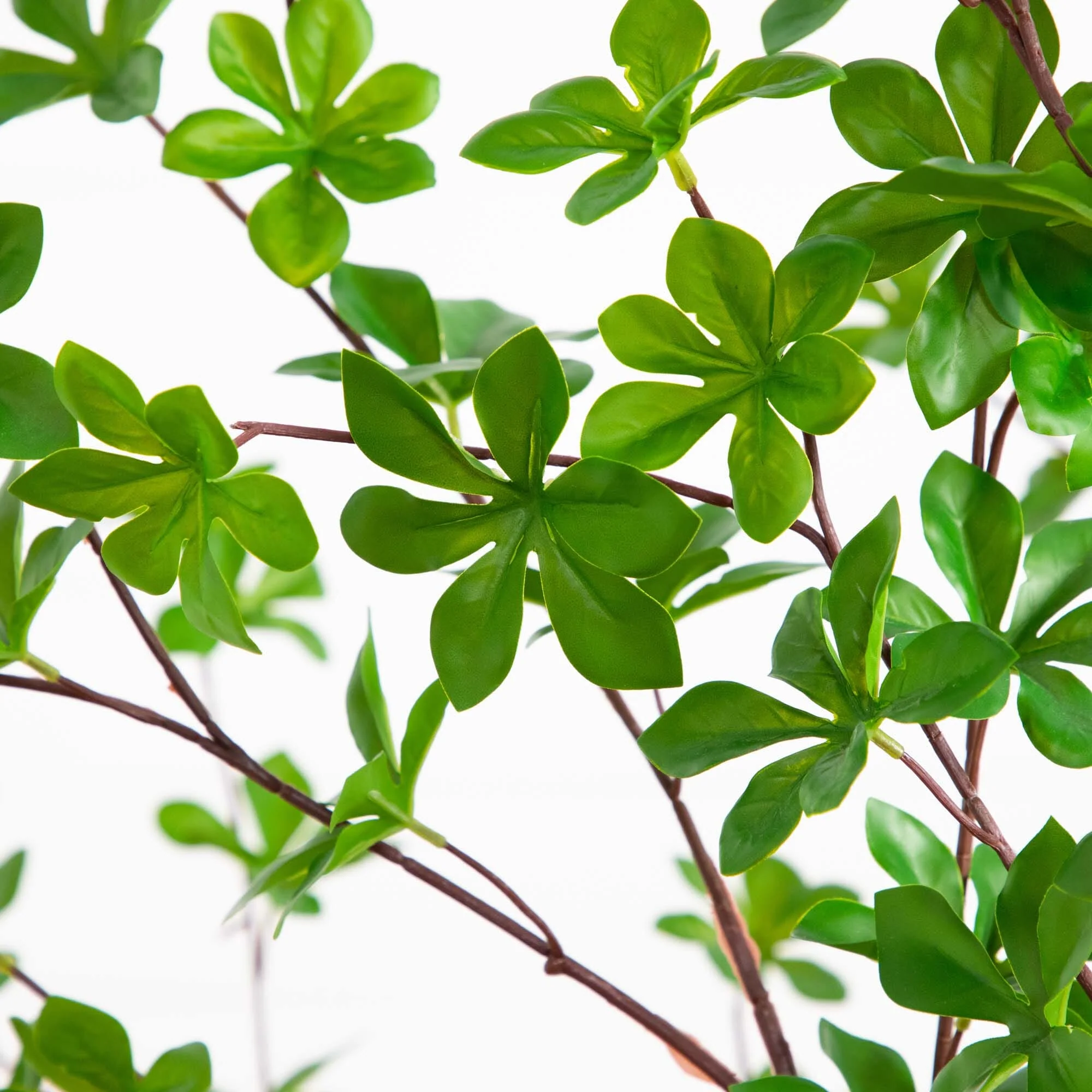 5’ Artificial Enkianthus Tree in White Decorative Planter - Image 2