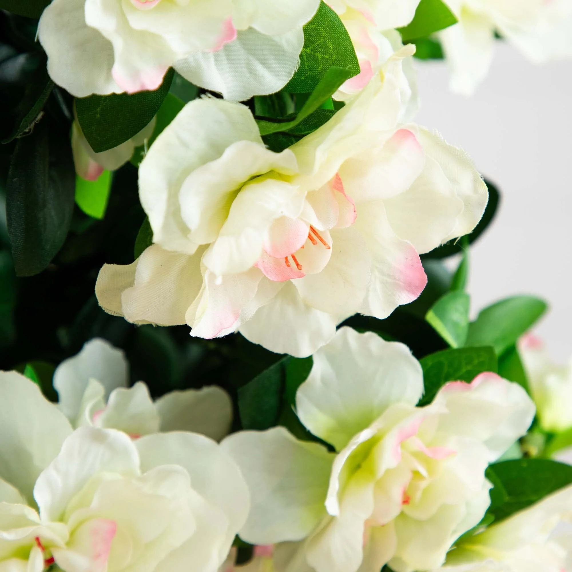 5’ Azalea Artificial Tree in White Planter - Image 2