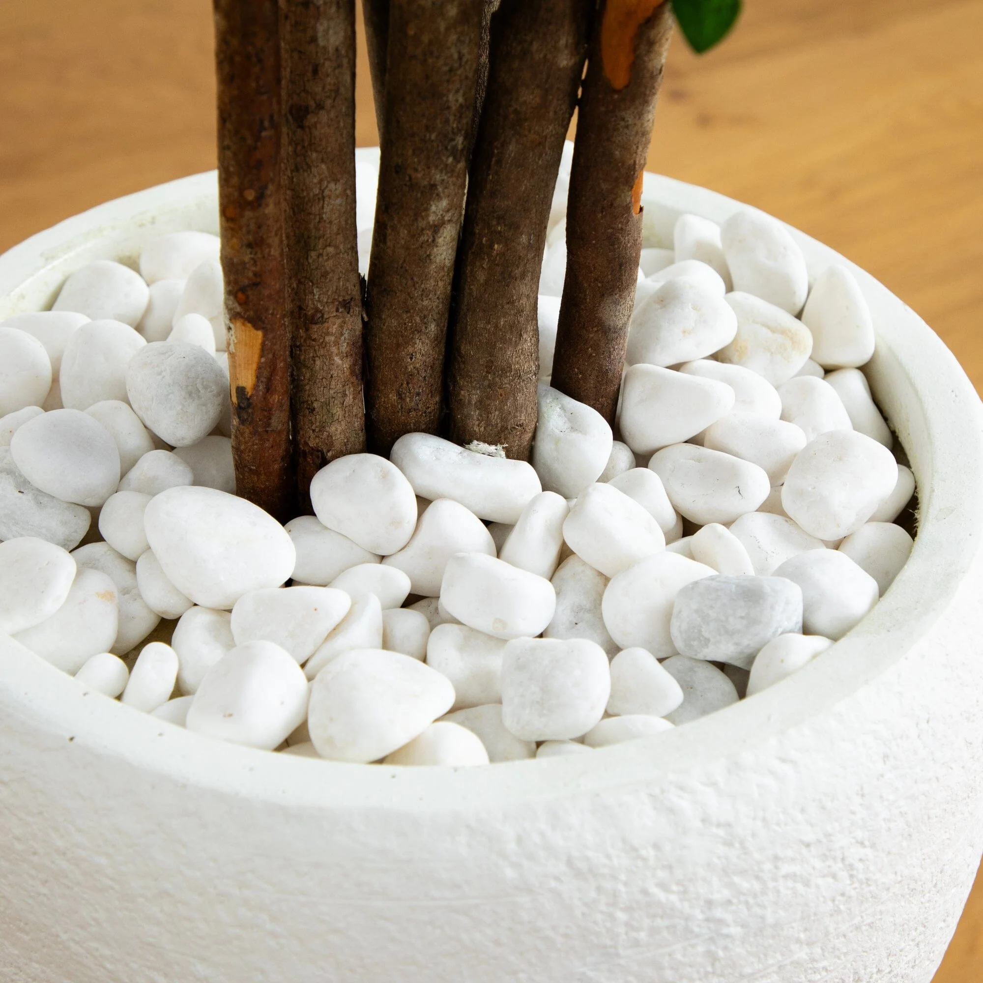 5’ Azalea Artificial Tree in White Planter - Image 3