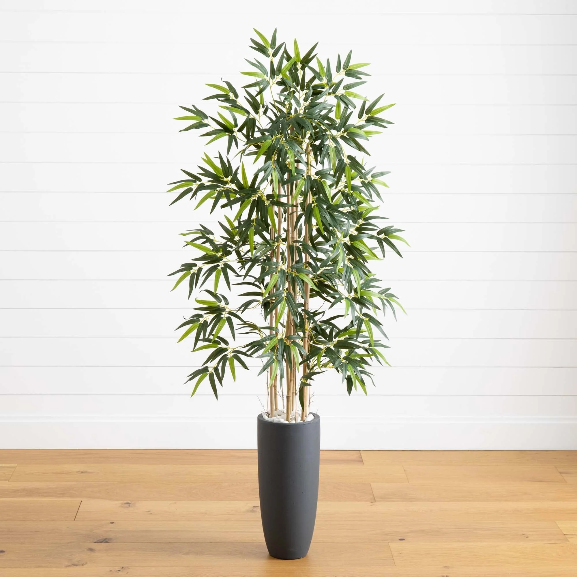 5’ Bamboo Tree in Gray Cylinder Planter
