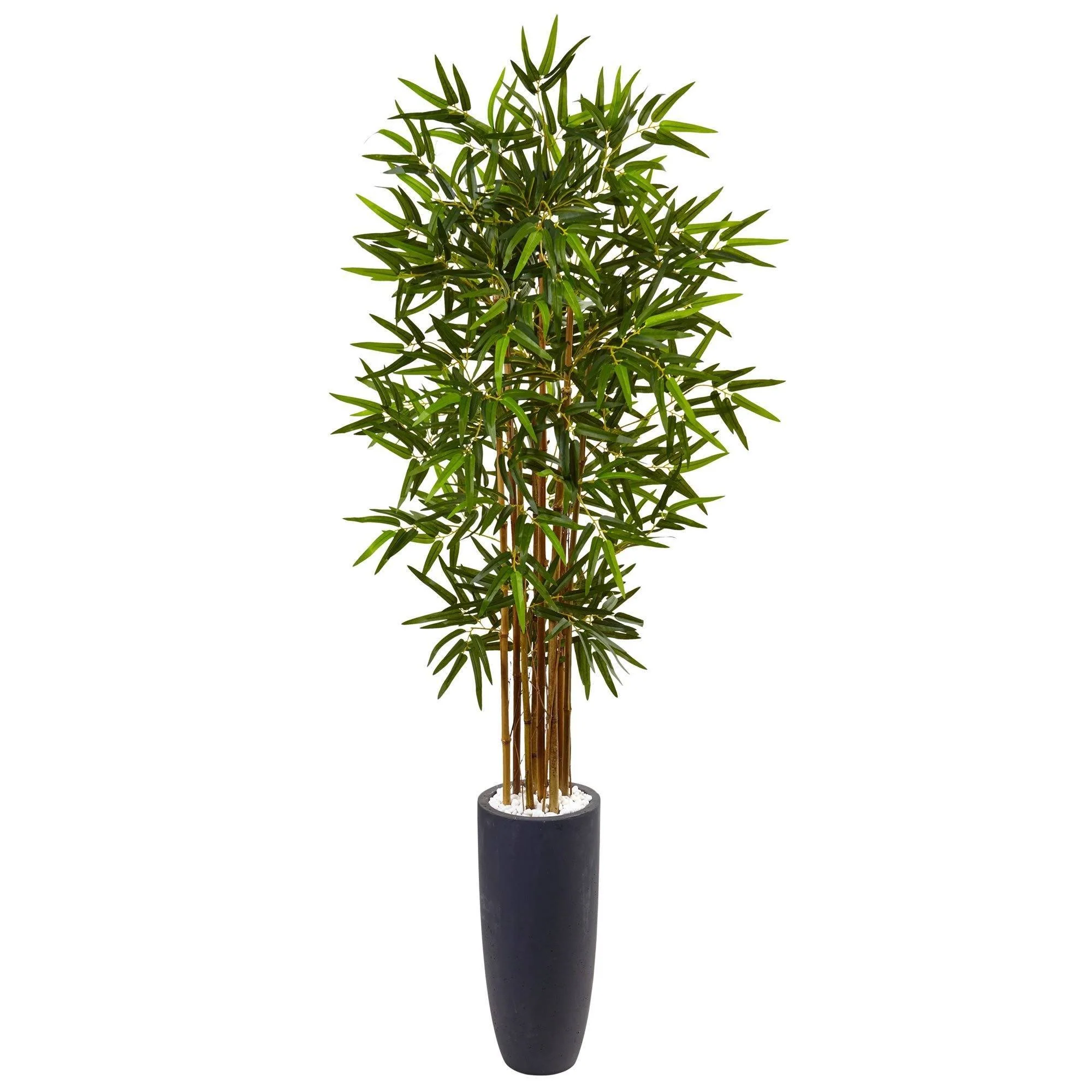 5’ Bamboo Tree in Gray Cylinder Planter - Image 5