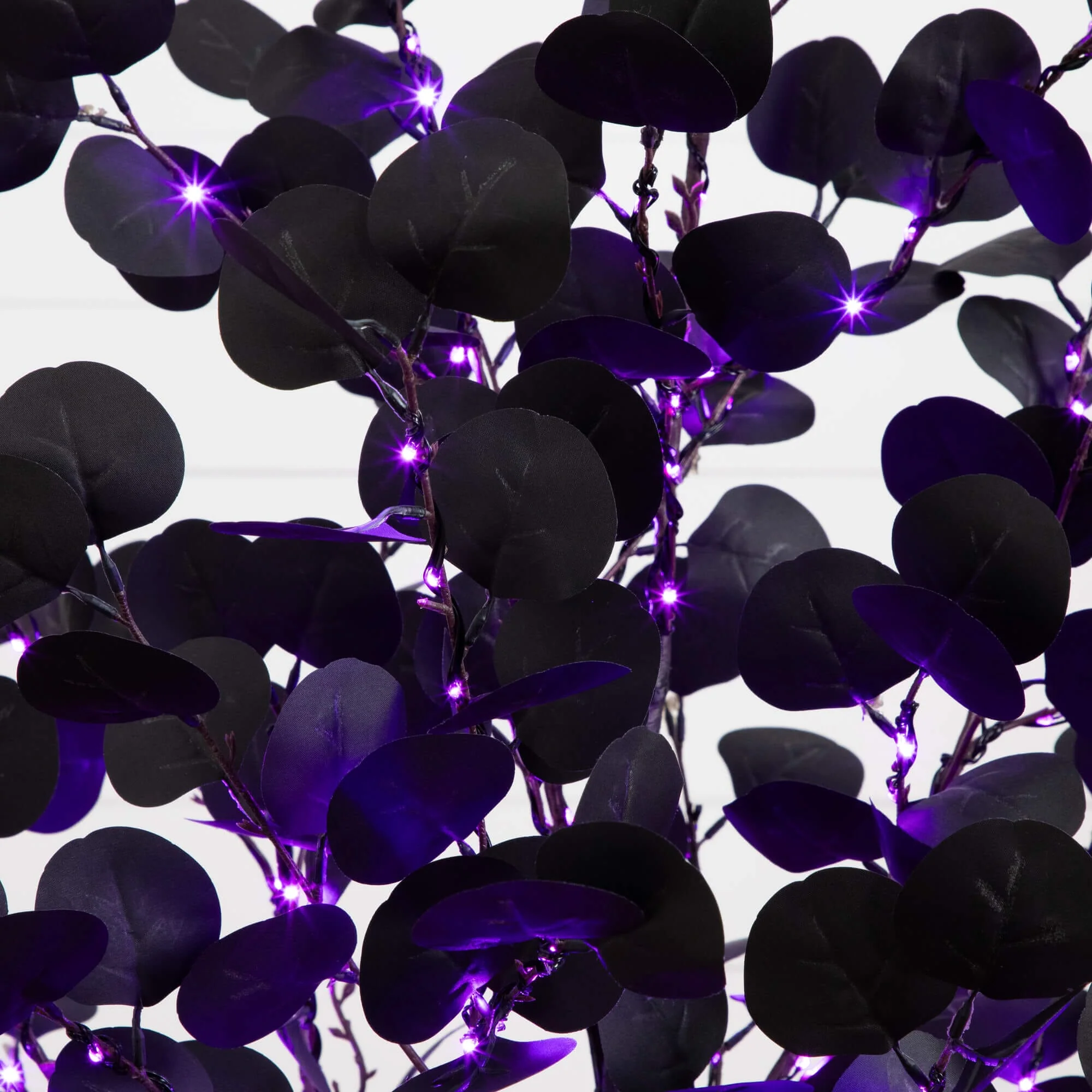 5' Pre-Lit Artificial Halloween Black Eucalyptus Tree with 220 Orange & Purple LED Lights - Image 2