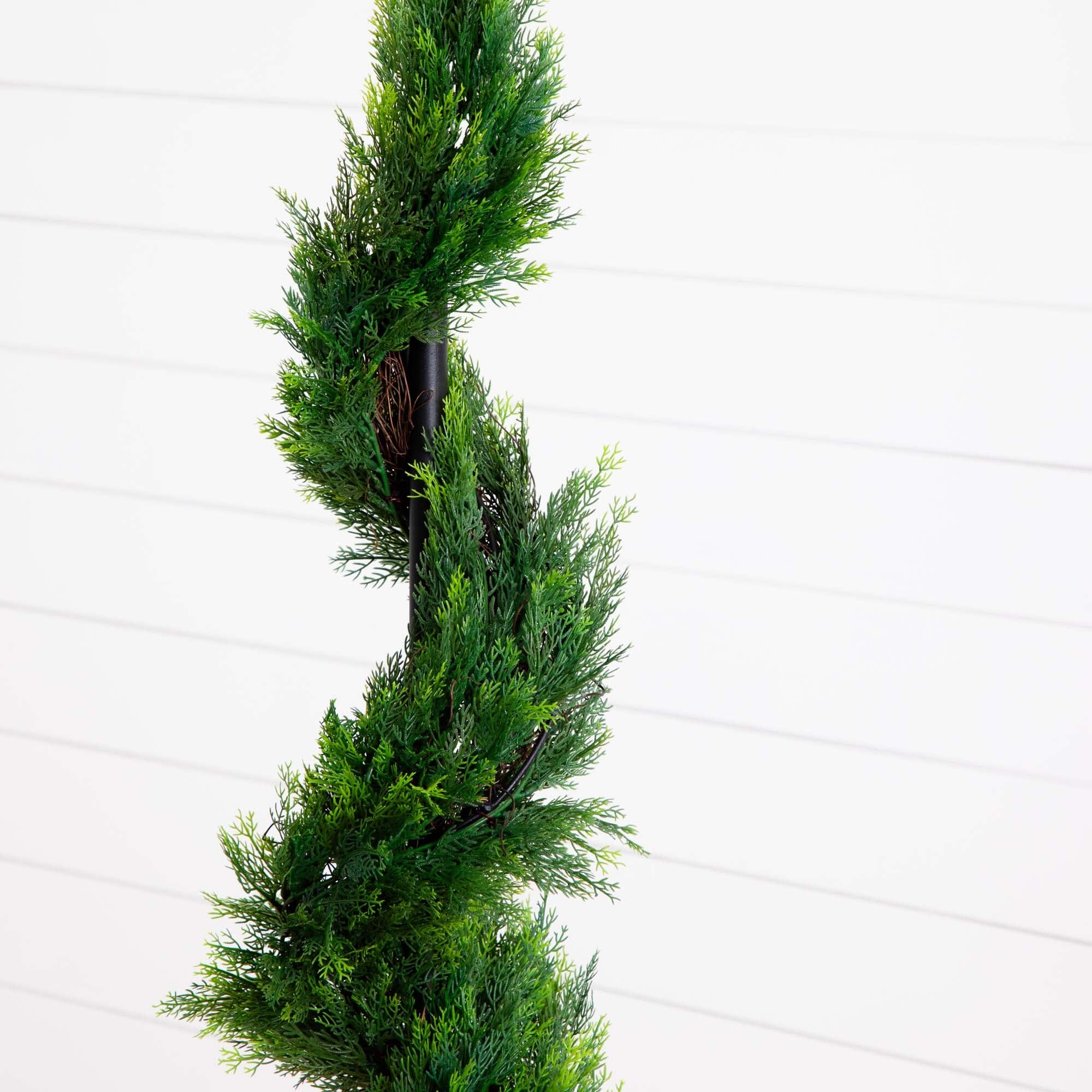 5' Cypress Spiral Tree - Image 2