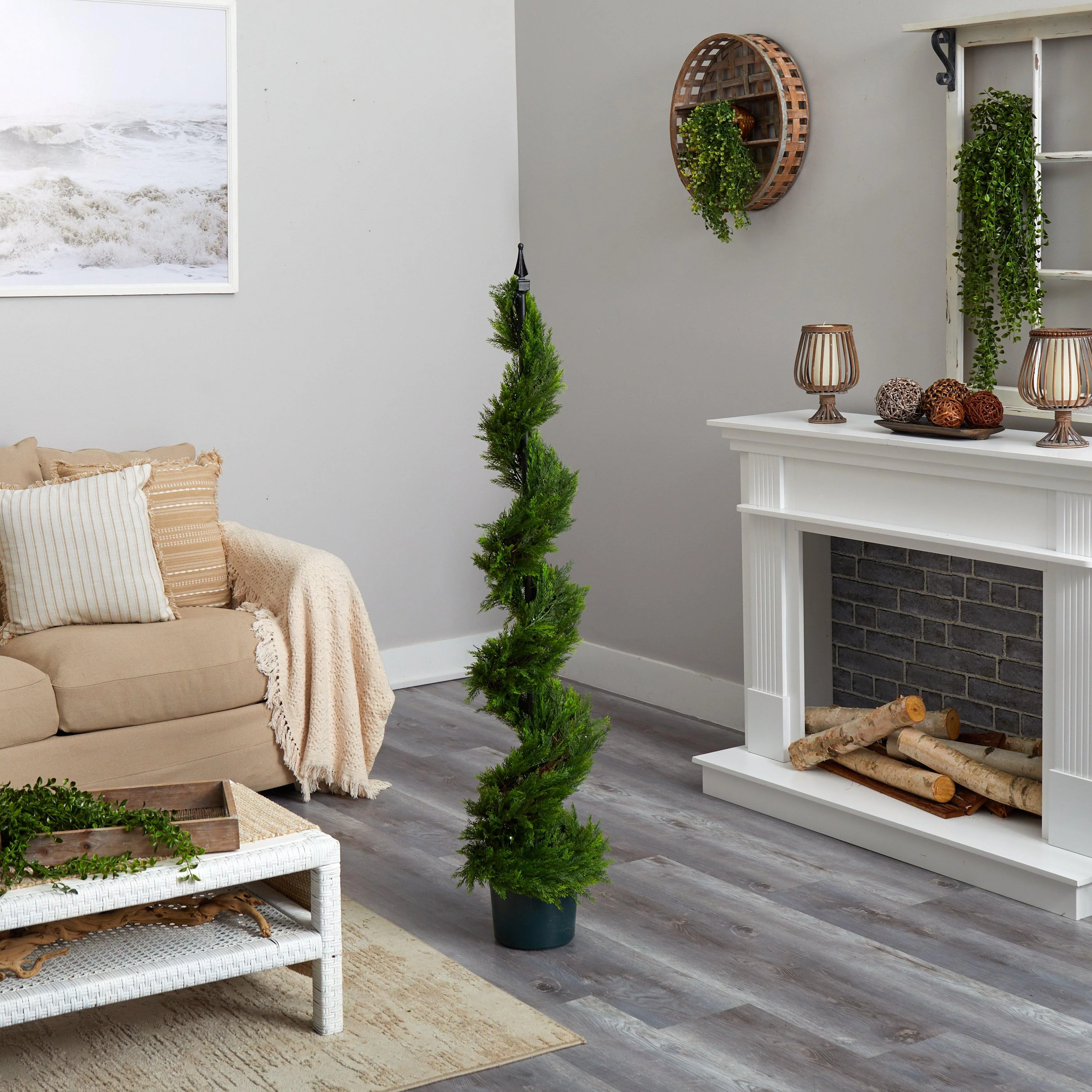 5' Cypress Spiral Tree - Image 5