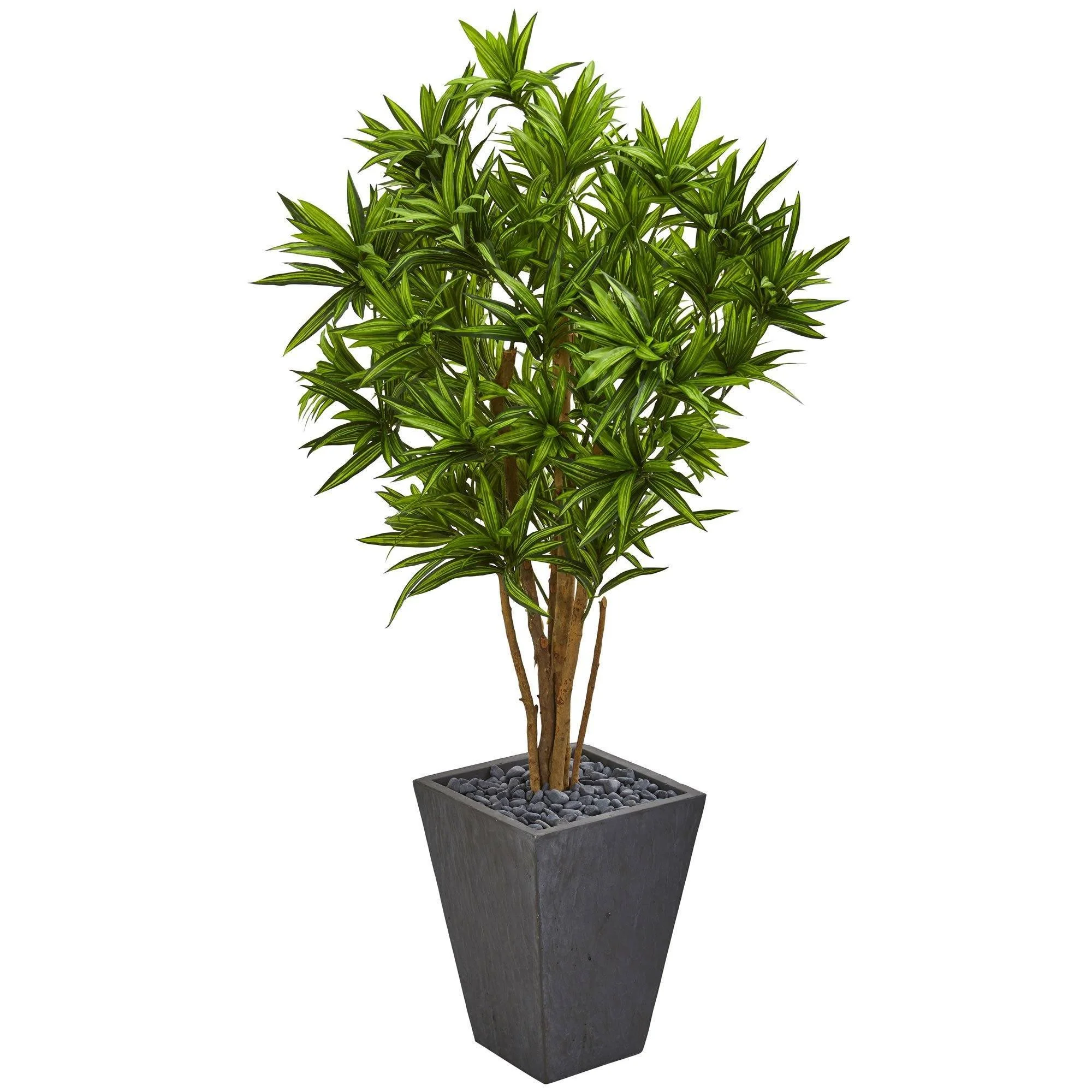 5' Dracaena Artificial Tree in Slate Finished Planter - Image 2