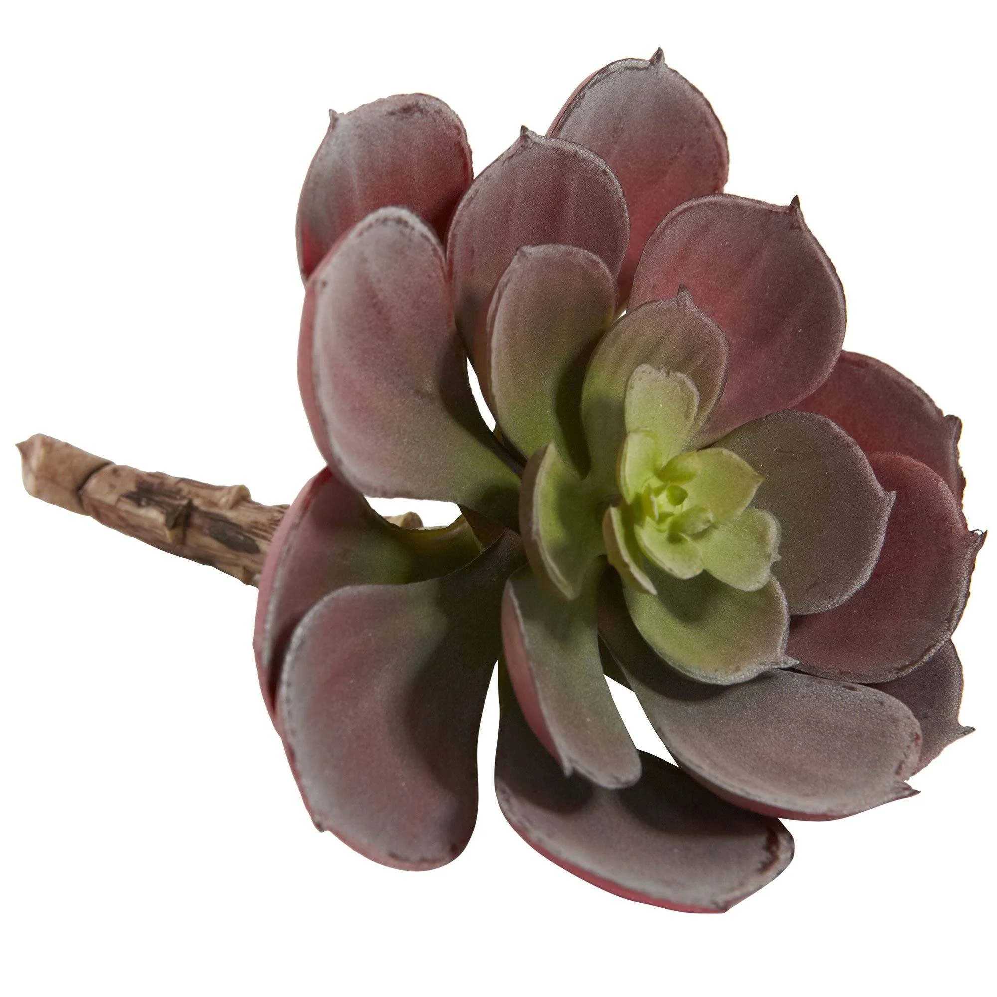 6” Artificial Echeveria Succulent (Set of 12) - Image 5