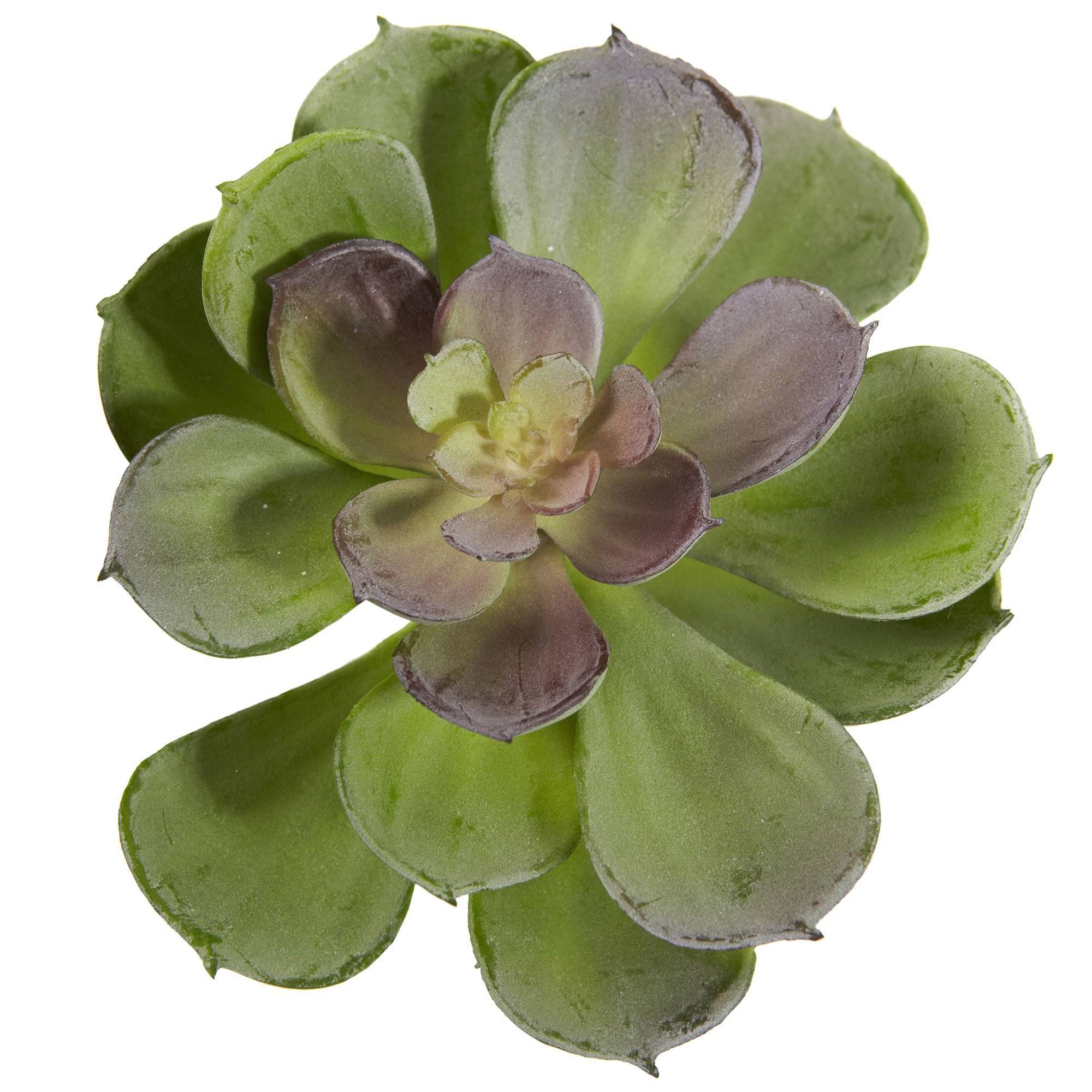 6” Artificial Echeveria Succulent (Set of 12) - Image 8