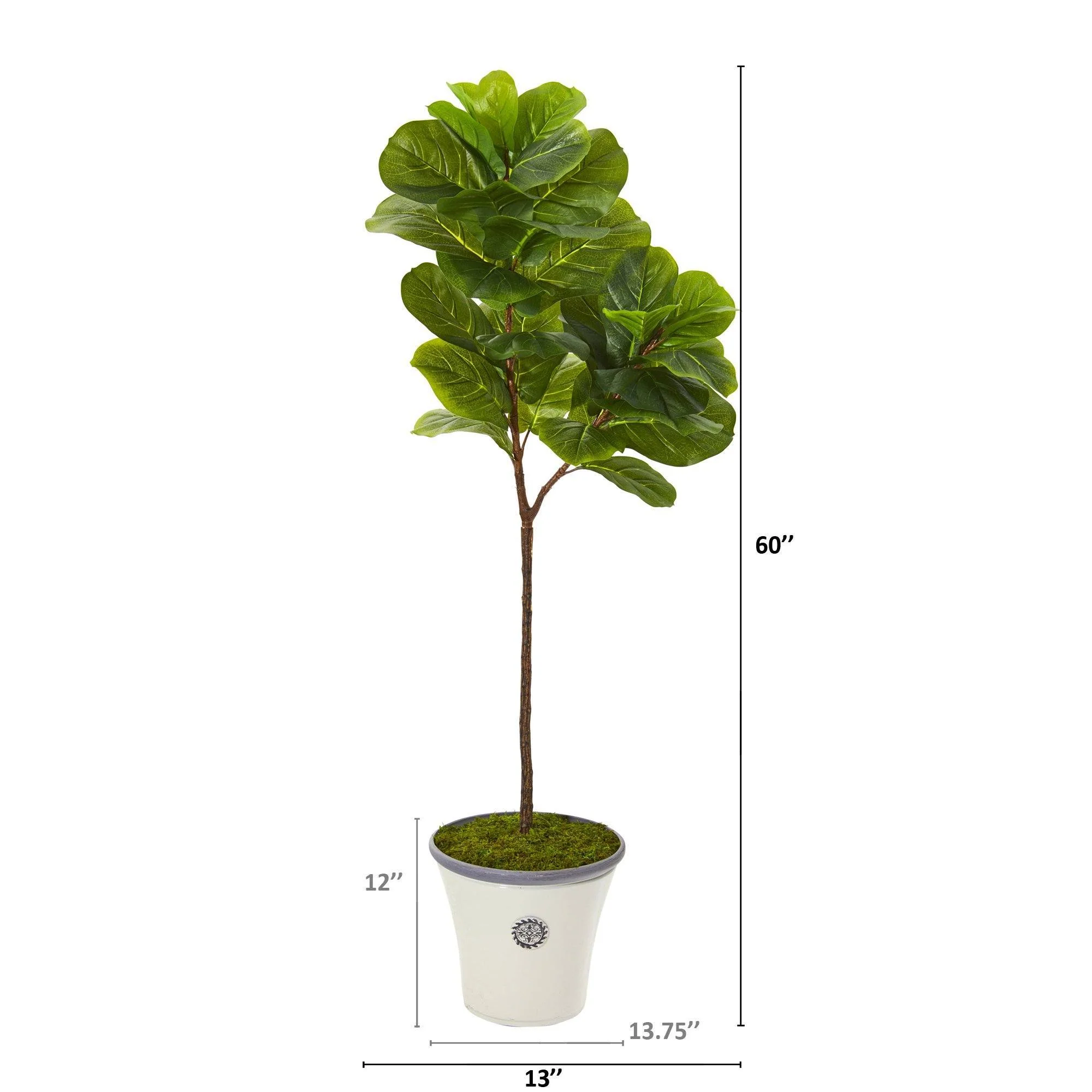 5’ Fiddle Leaf Artificial Tree in Decorative Planter (Real Touch) - Image 2