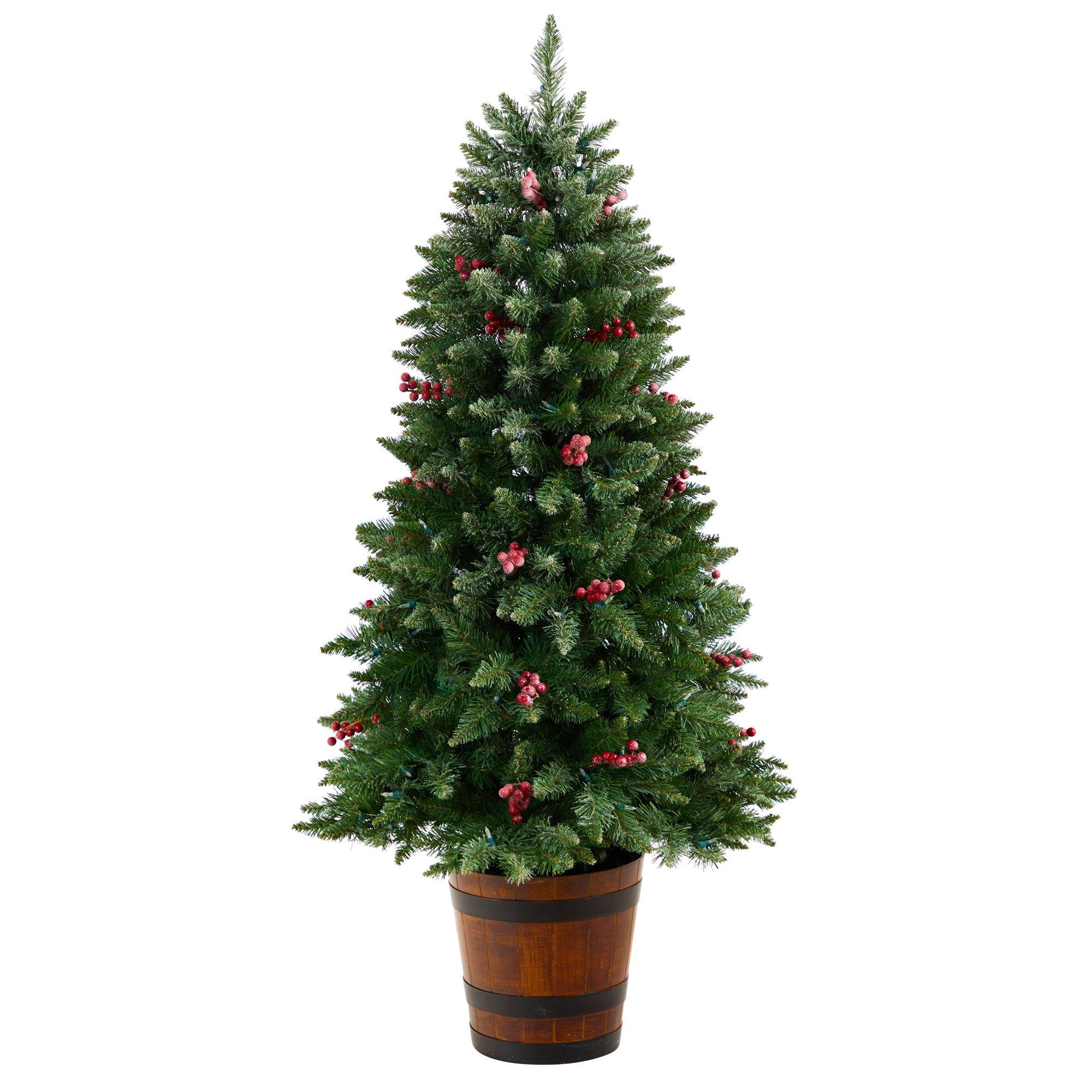 5' Frosted Colorado Aspen Pre-Lit Porch Artificial Christmas Tree - Image 3