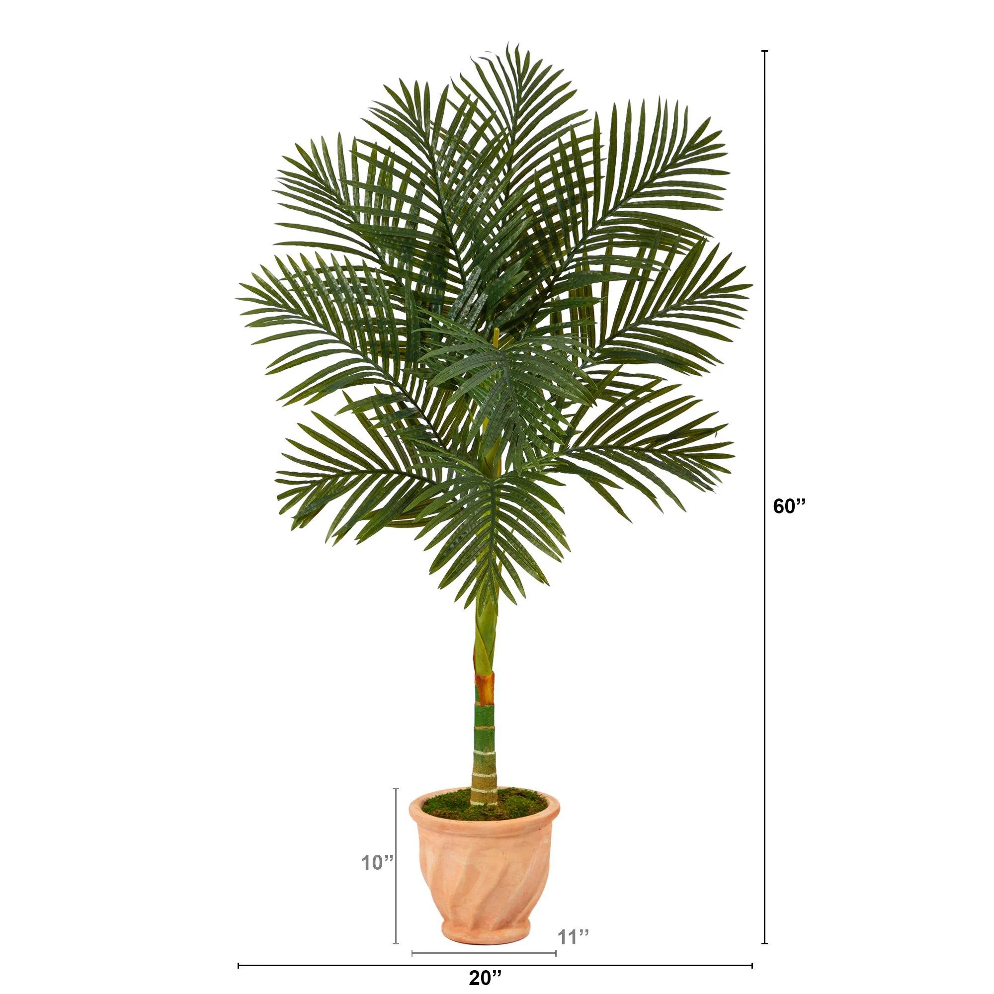 5’ Golden Cane Artificial Palm Tree in Terra-Cotta Planter - Image 2