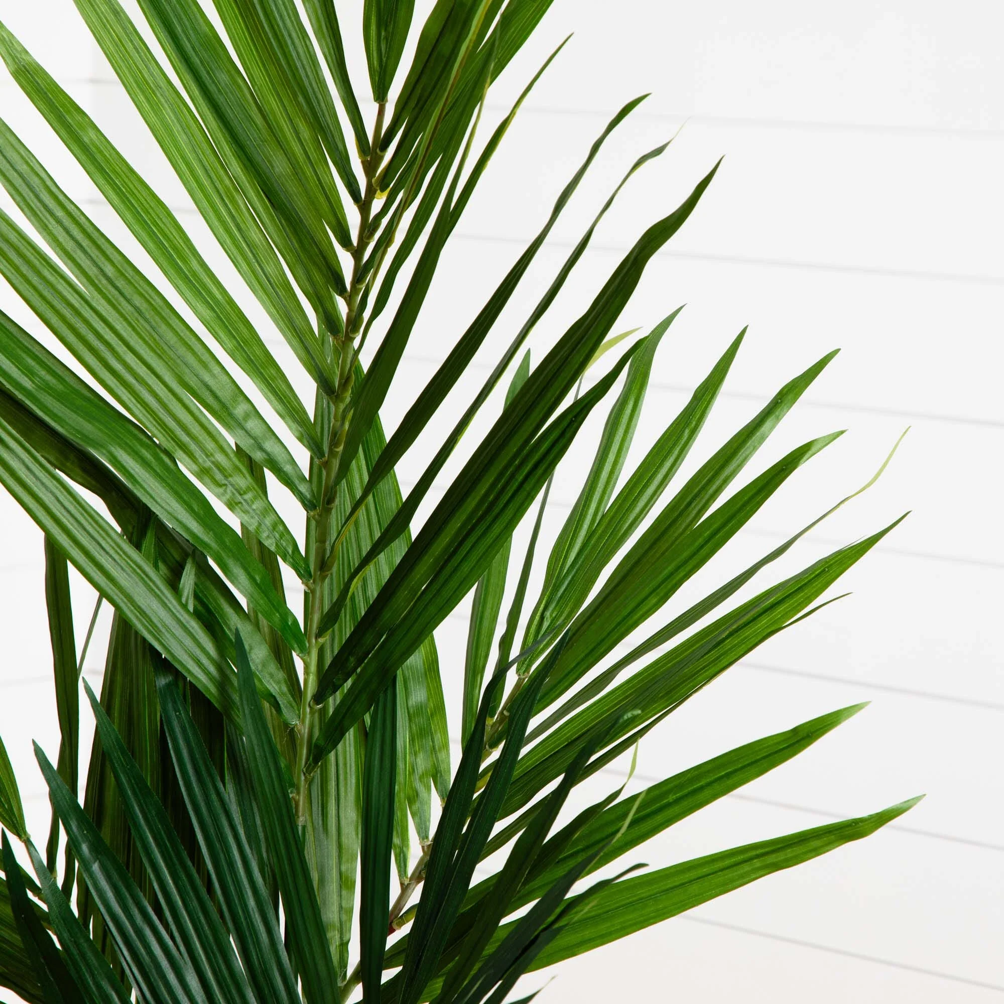 5' Kentia Palm Artificial Silk Tree - Image 2