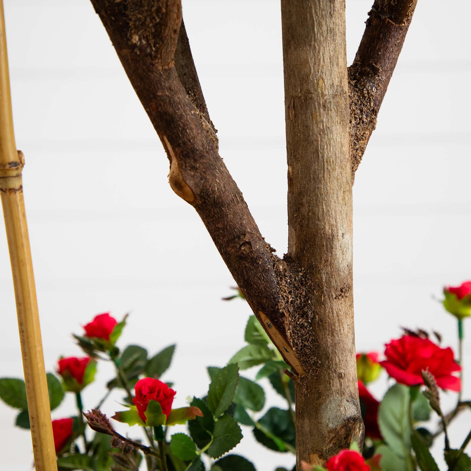 5' Mini Rose Silk Tree - Image 3