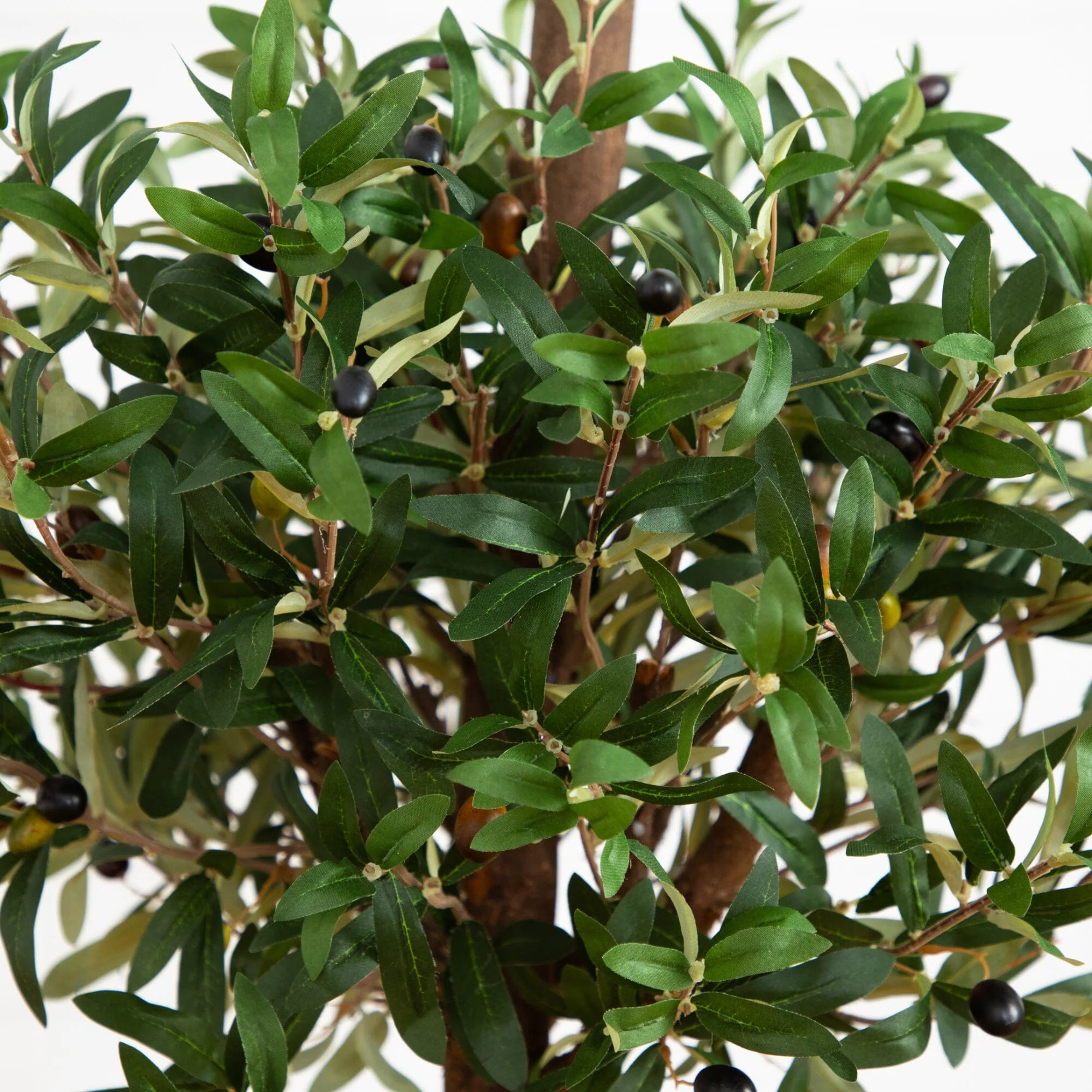 5’ Olive Tree in Farmhouse Planter - Image 2