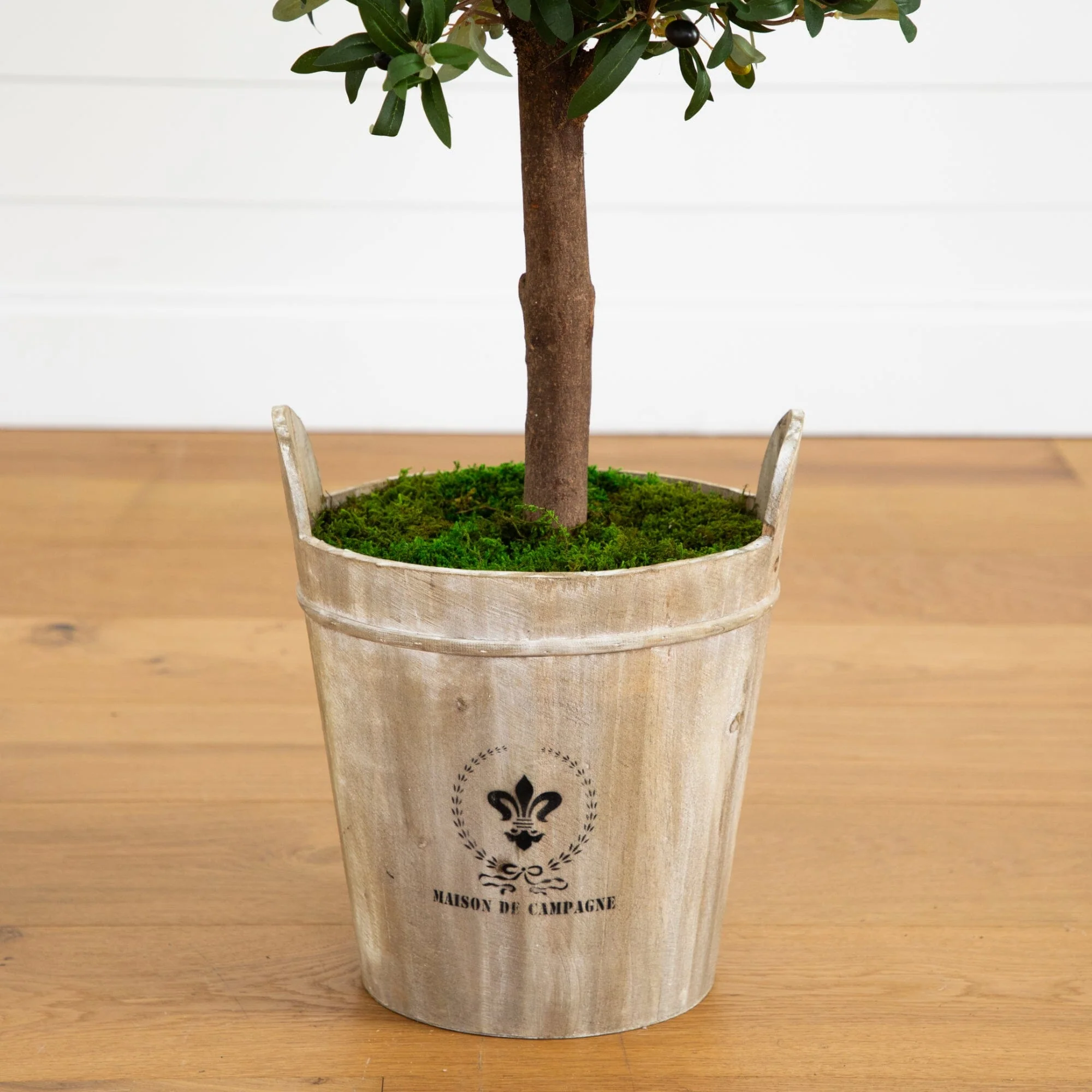 5’ Olive Tree in Farmhouse Planter - Image 3