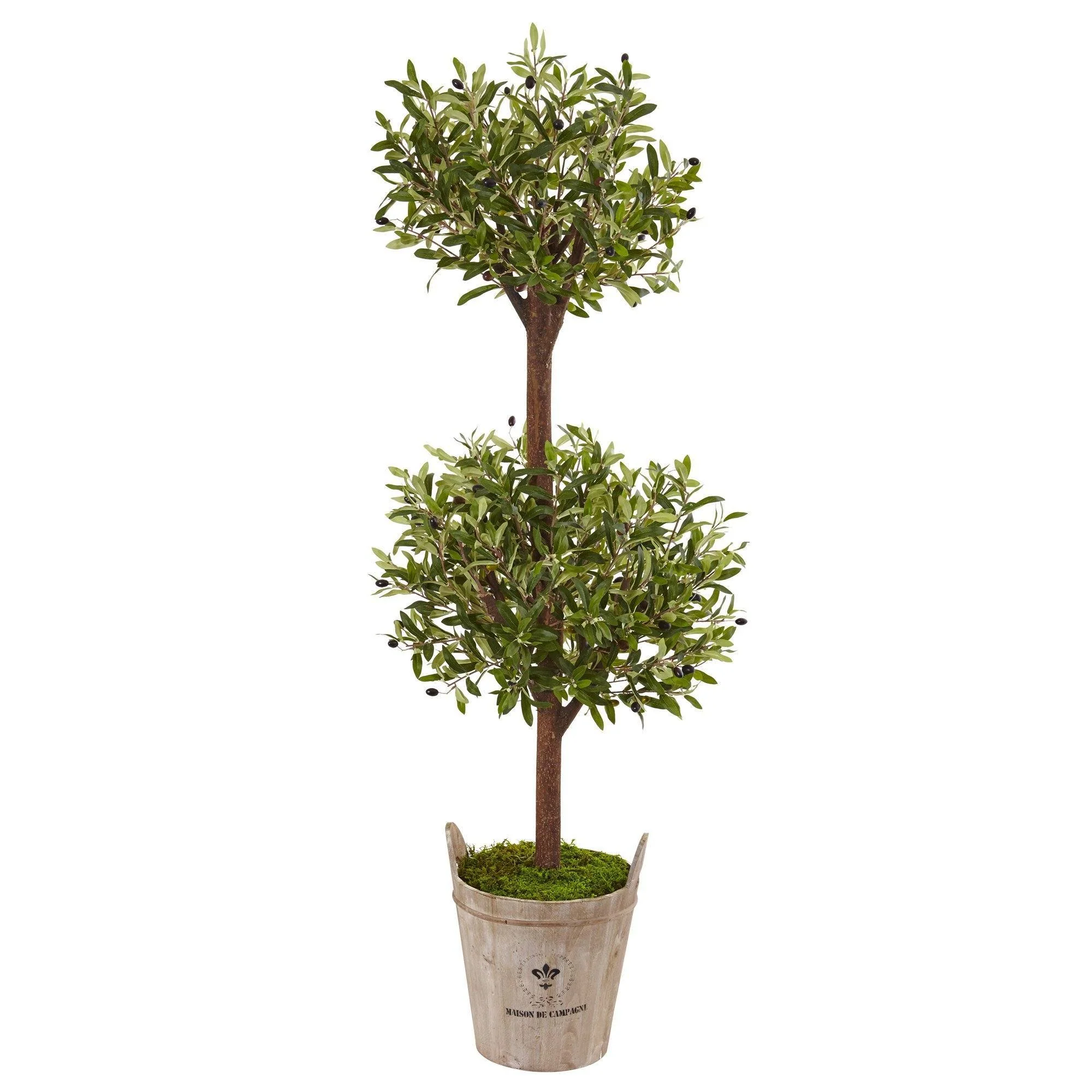 5’ Olive Tree in Farmhouse Planter - Image 5