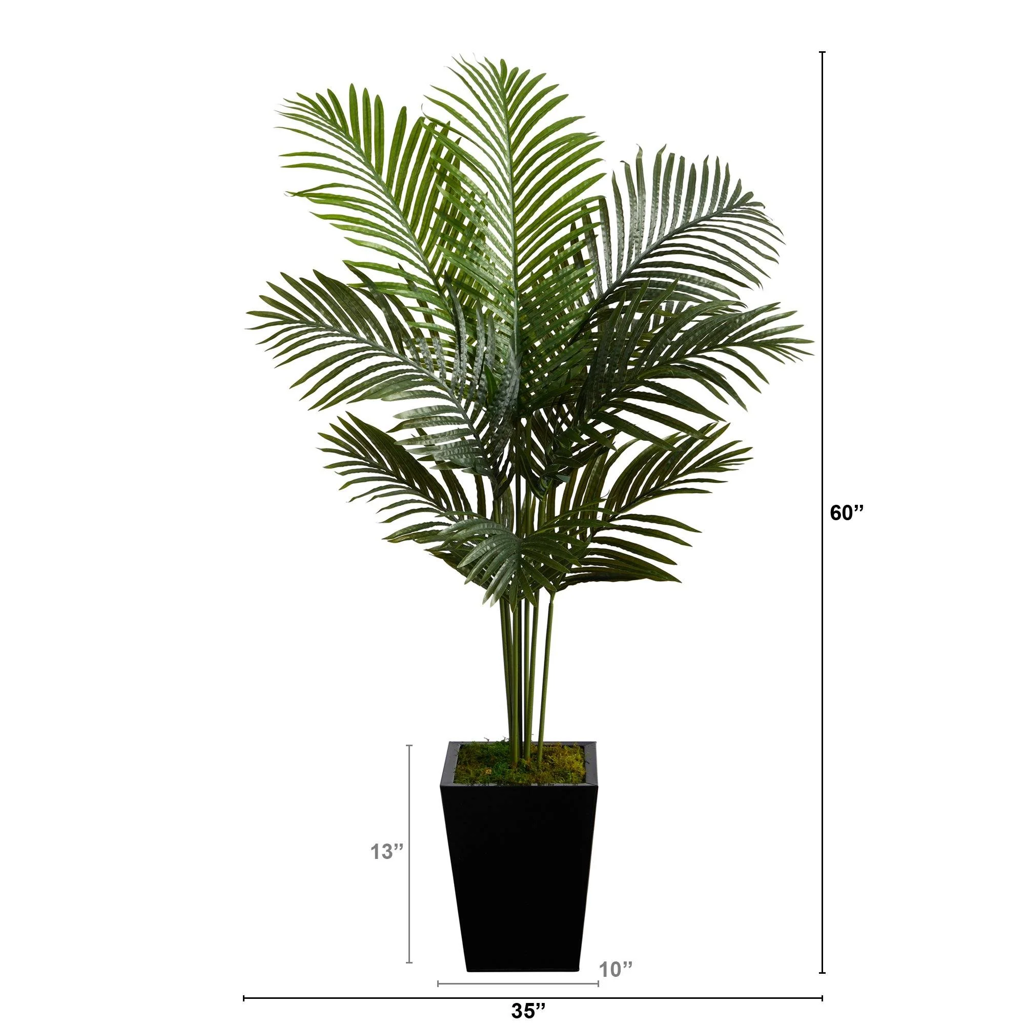5’ Paradise Palm Artificial Tree in Black Metal Planter - Image 2