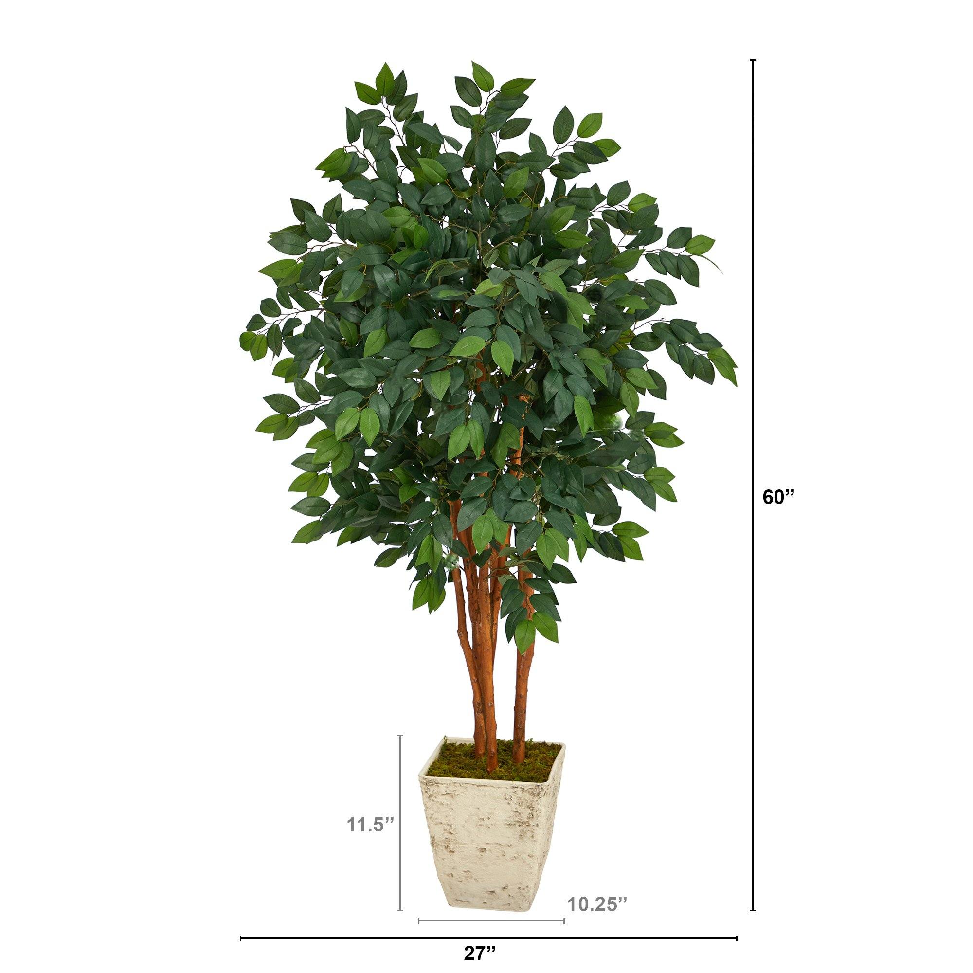 5’ Sakaki Artificial Tree in Country White Planter - Image 2