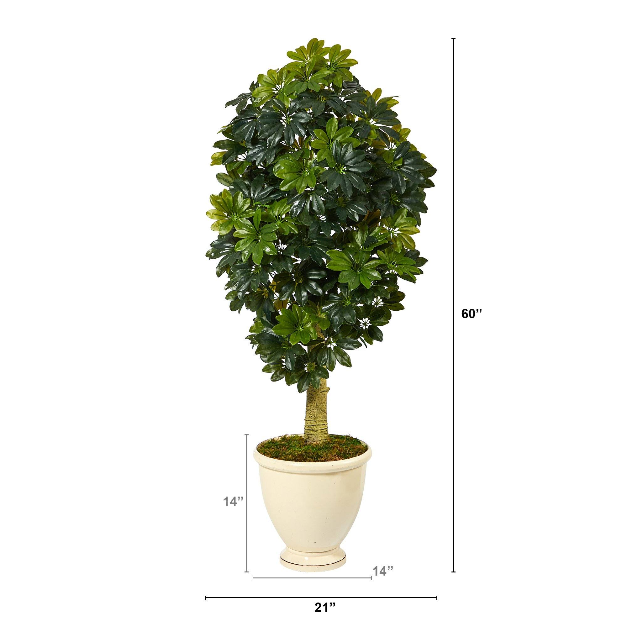 5' Schefflera Artificial Tree in Decorative Urn (Real Touch) - Image 2