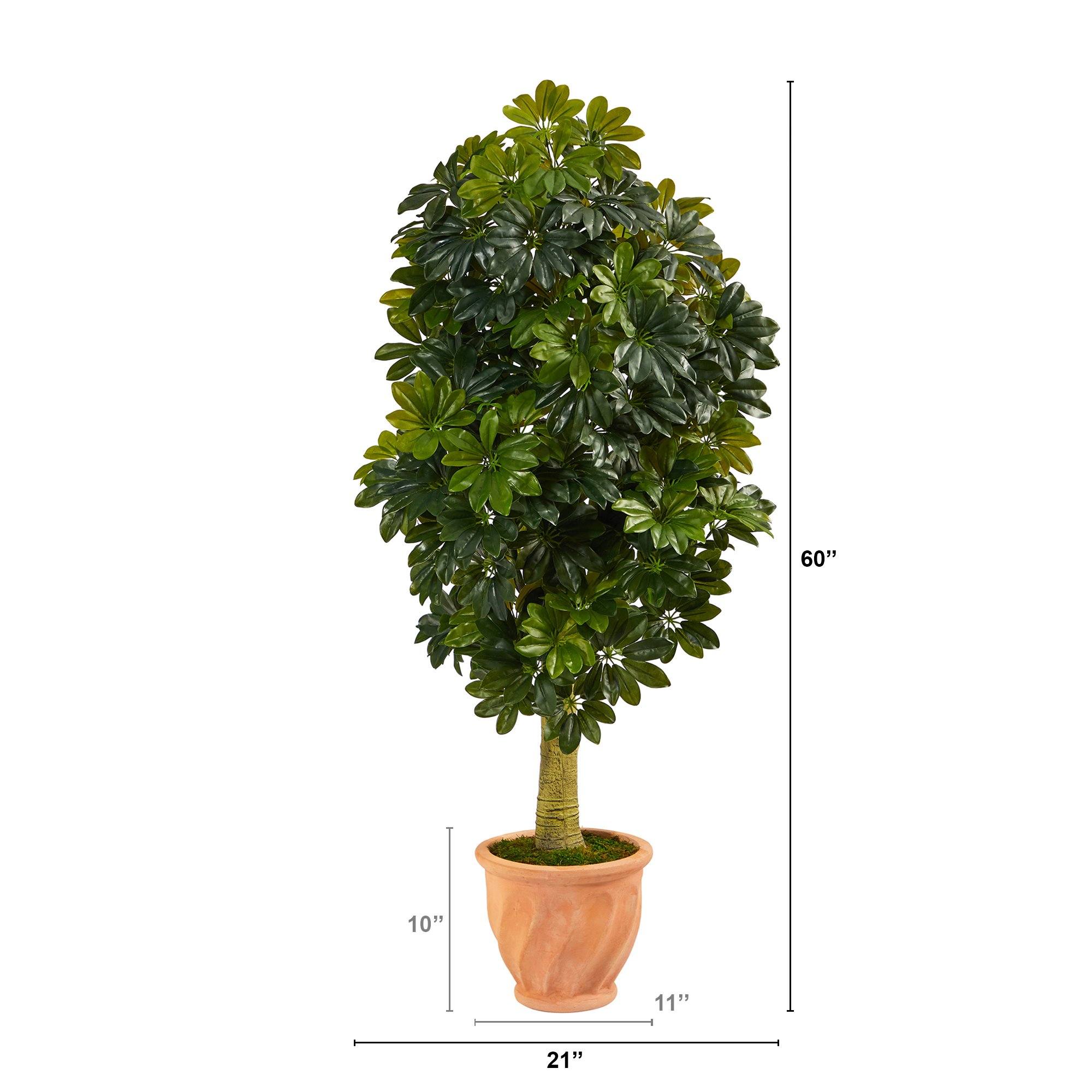 5' Schefflera Artificial Tree in Terra-Cotta Planter (Real Touch) - Image 2