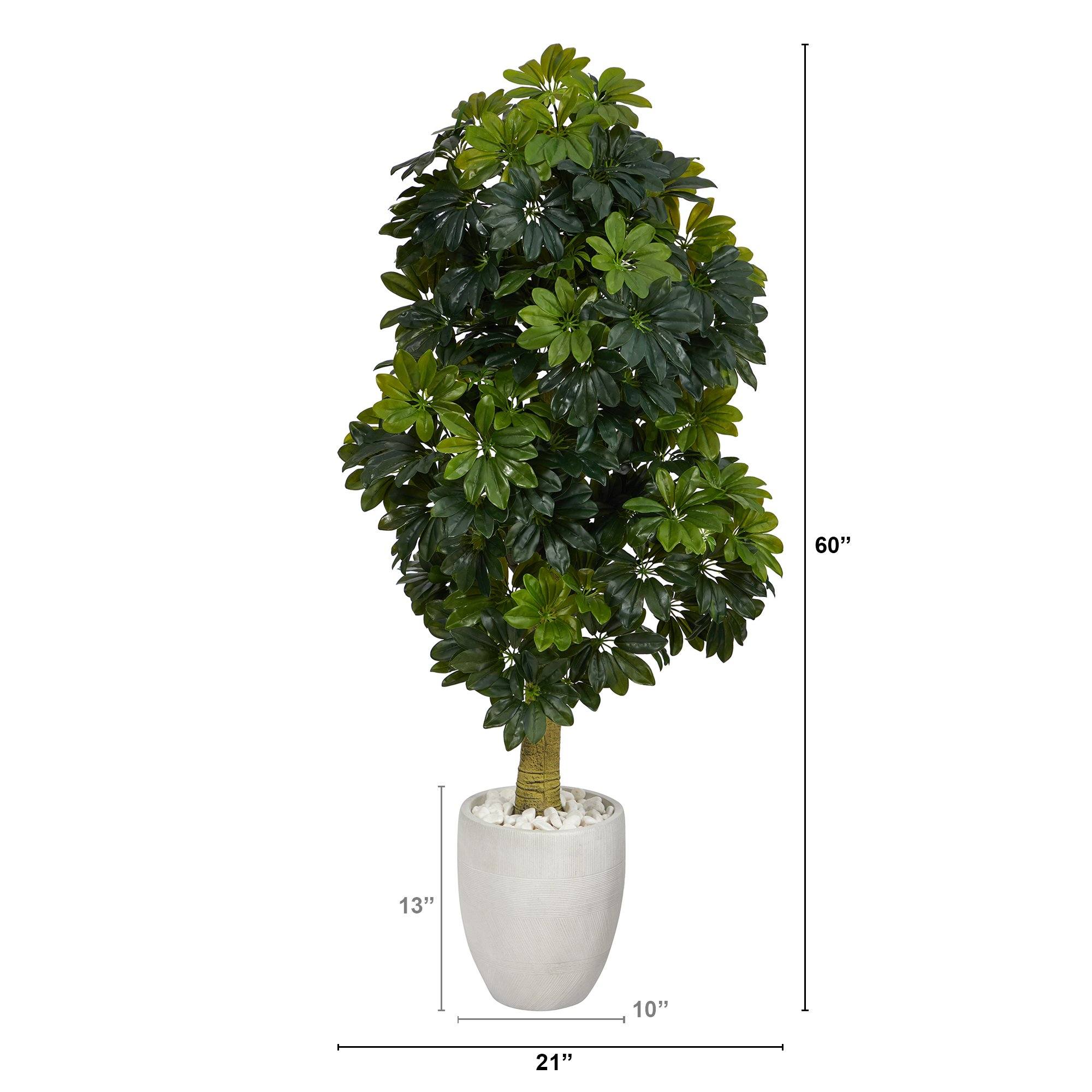 5' Schefflera Artificial Tree in White Planter (Real Touch) - Image 2