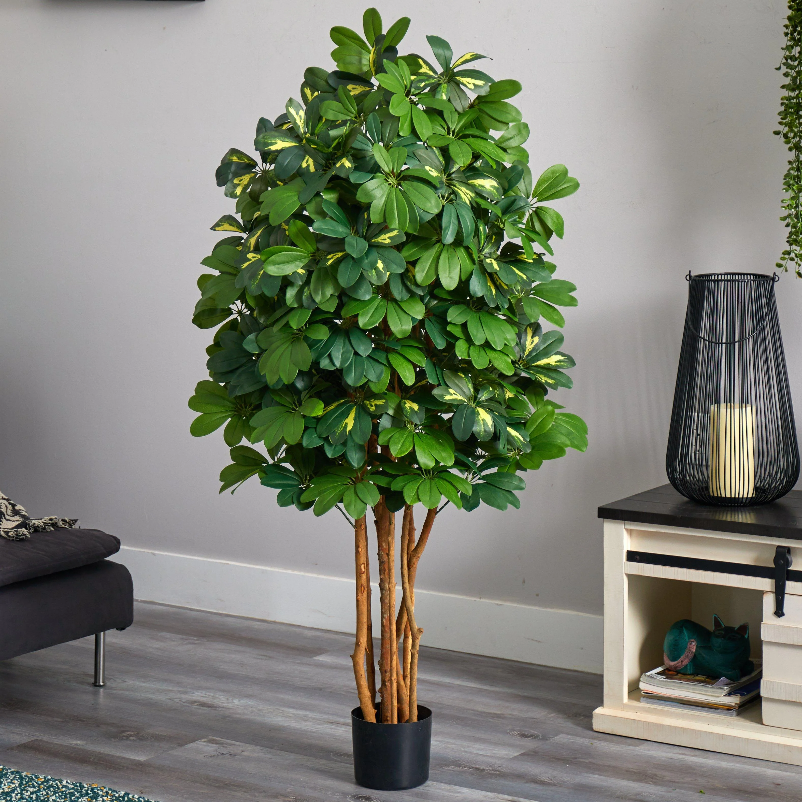 5' Schefflera Silk Tree - Image 2