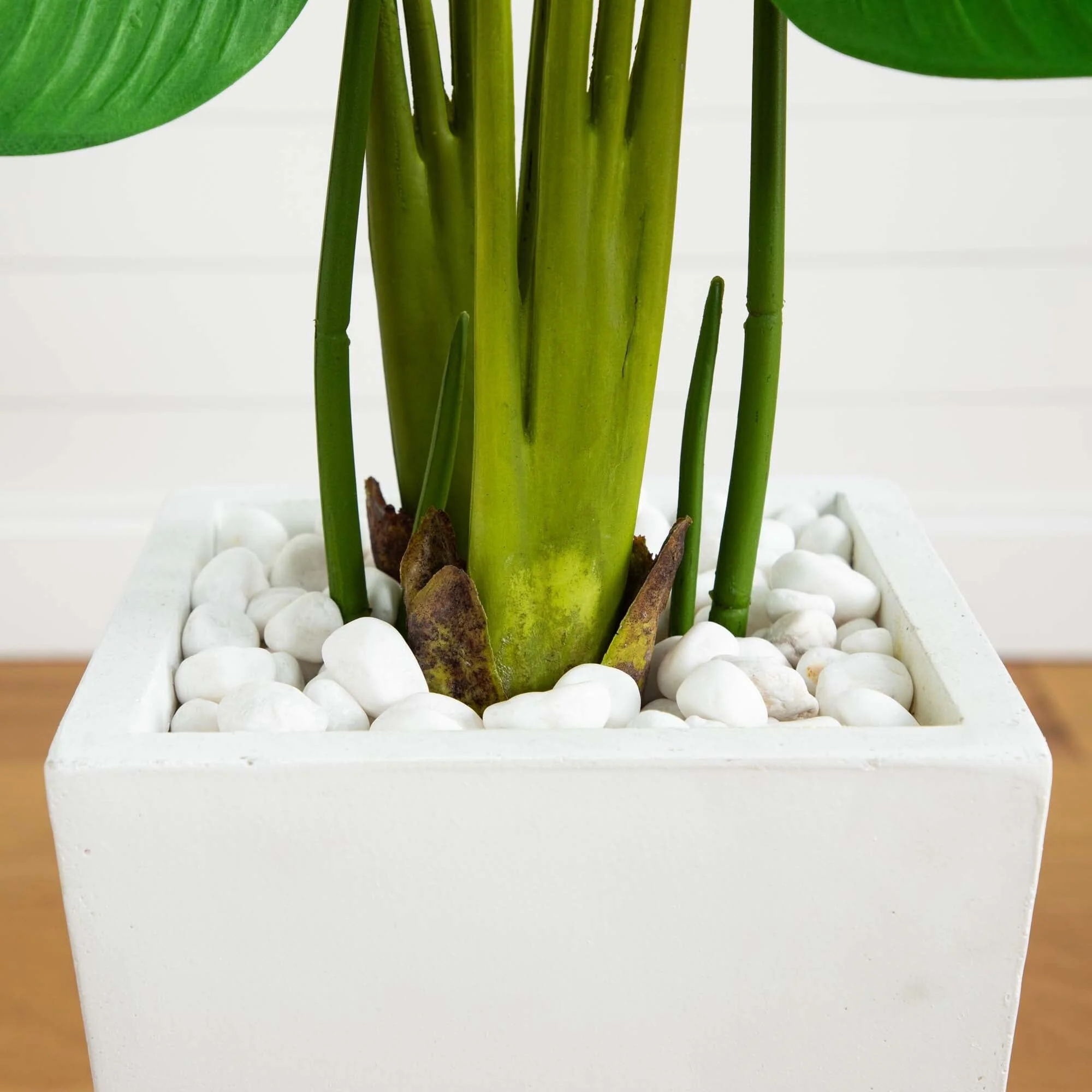 5’ Travelers Palm Artificial Tree in Tall White Planter - Image 2