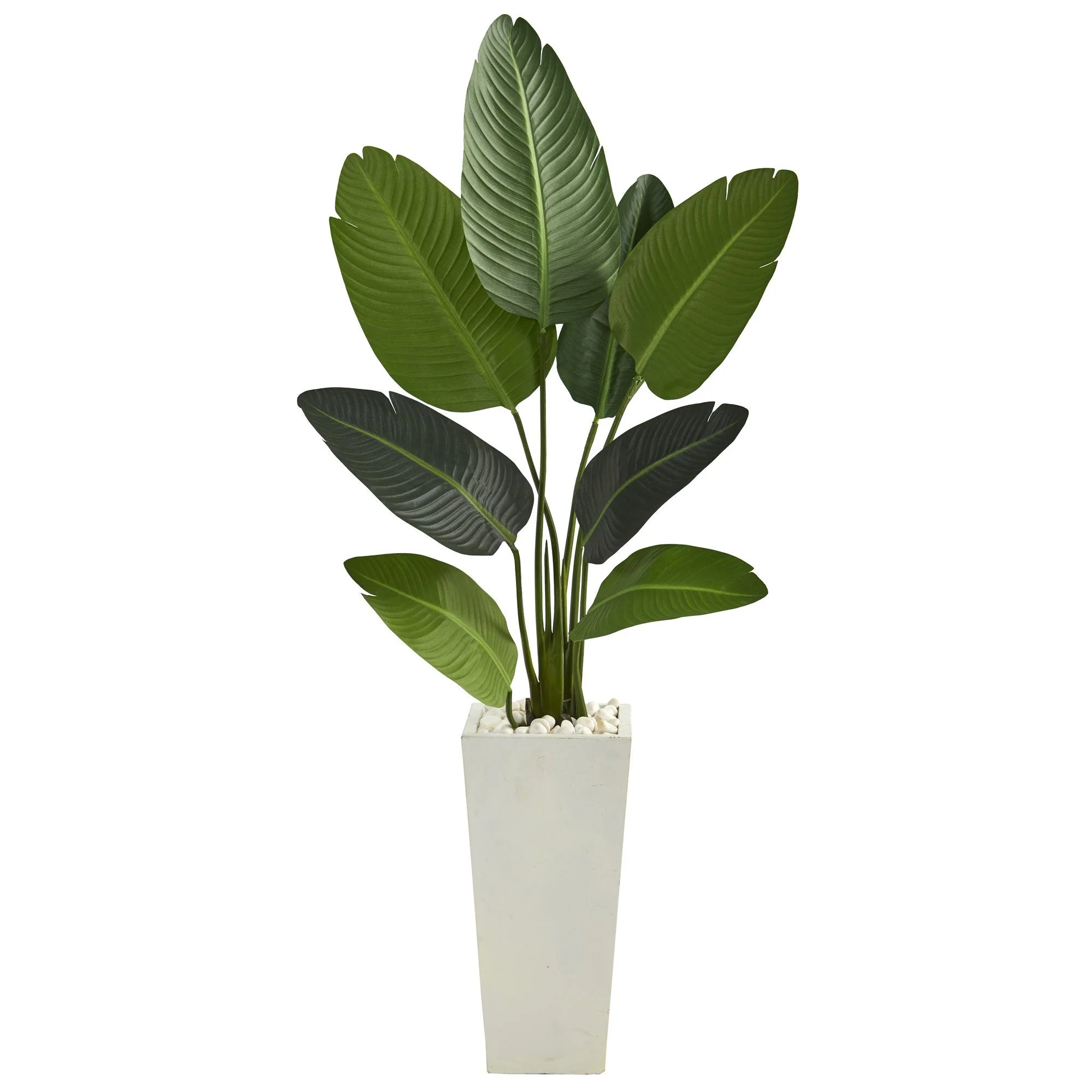 5’ Travelers Palm Artificial Tree in Tall White Planter - Image 5