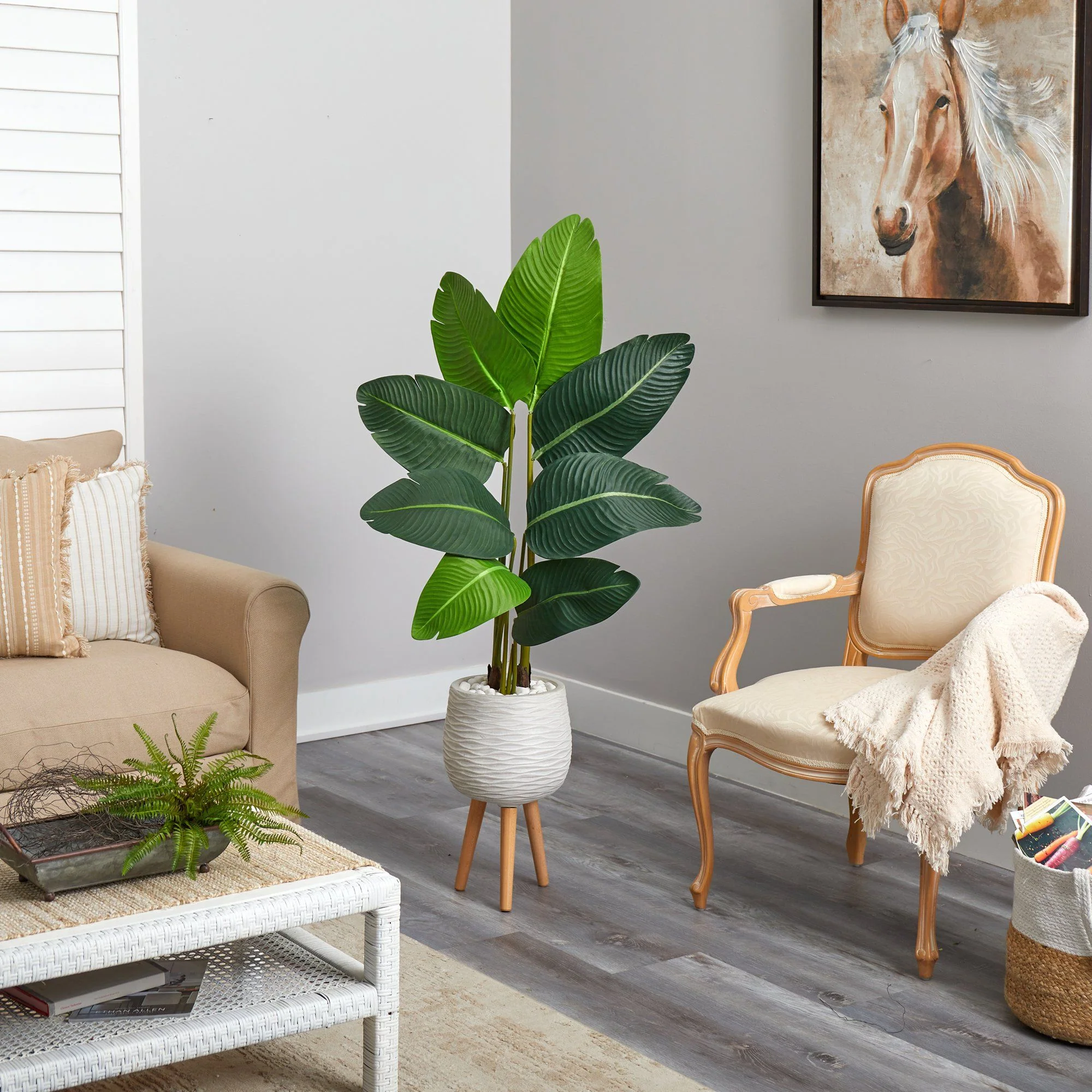 5’ Travelers Palm Artificial Tree in White Planter with Stand - Image 4